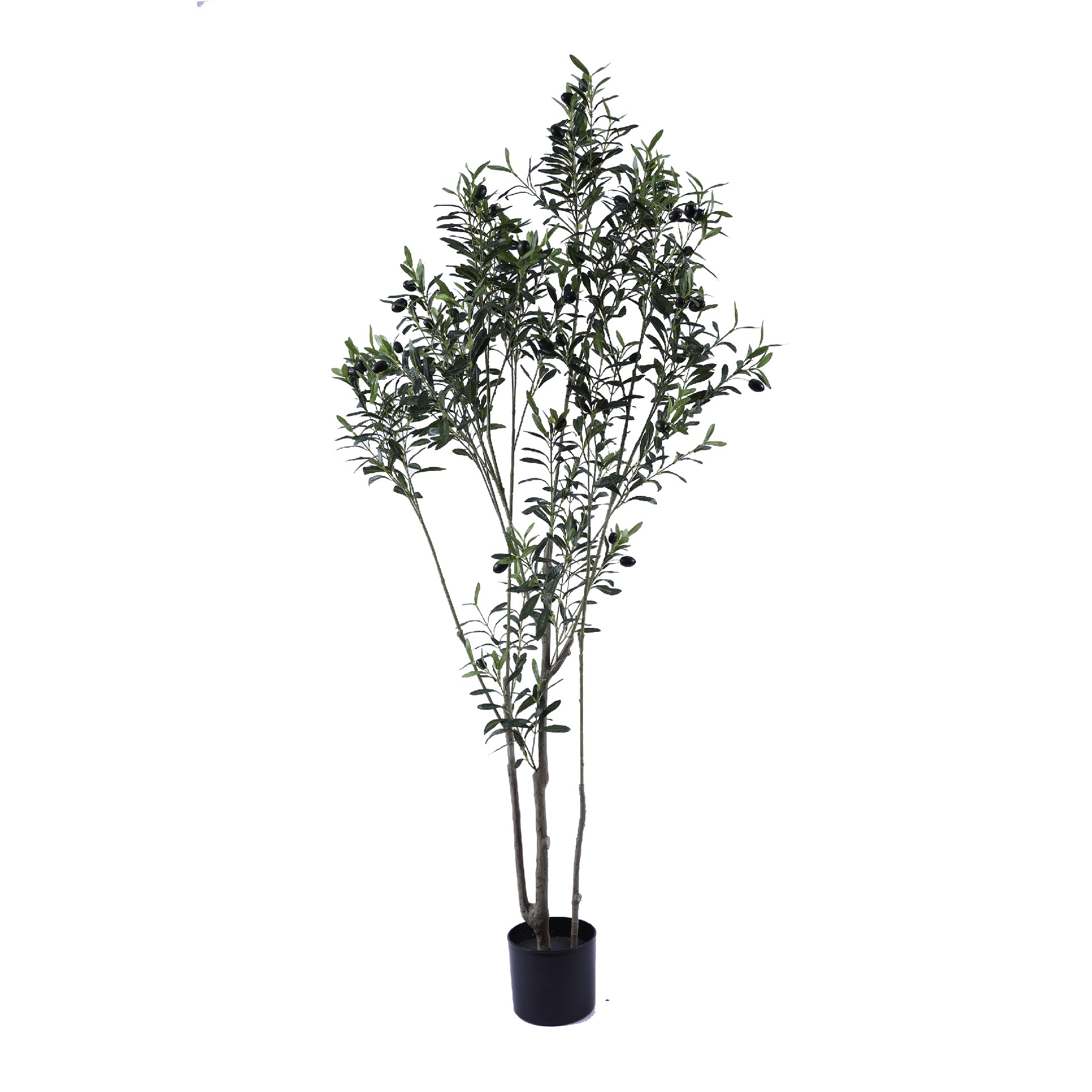 P250161QS-180.JPG