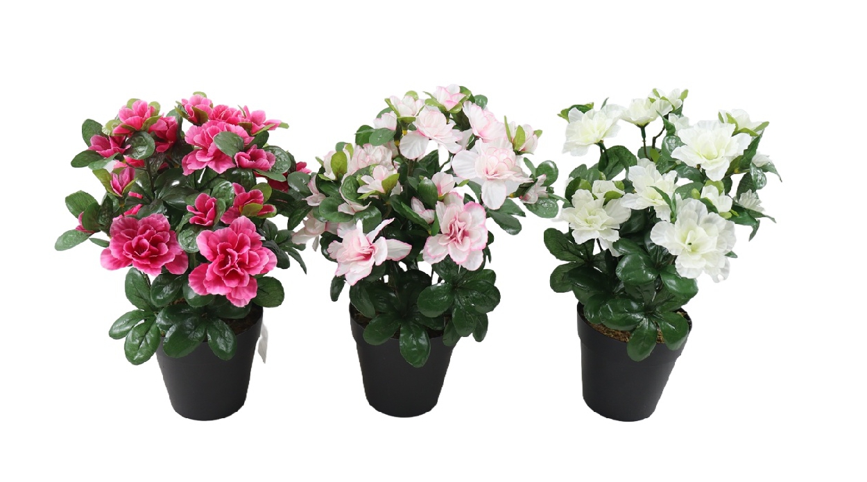 P250676GR-27 (1).jpg