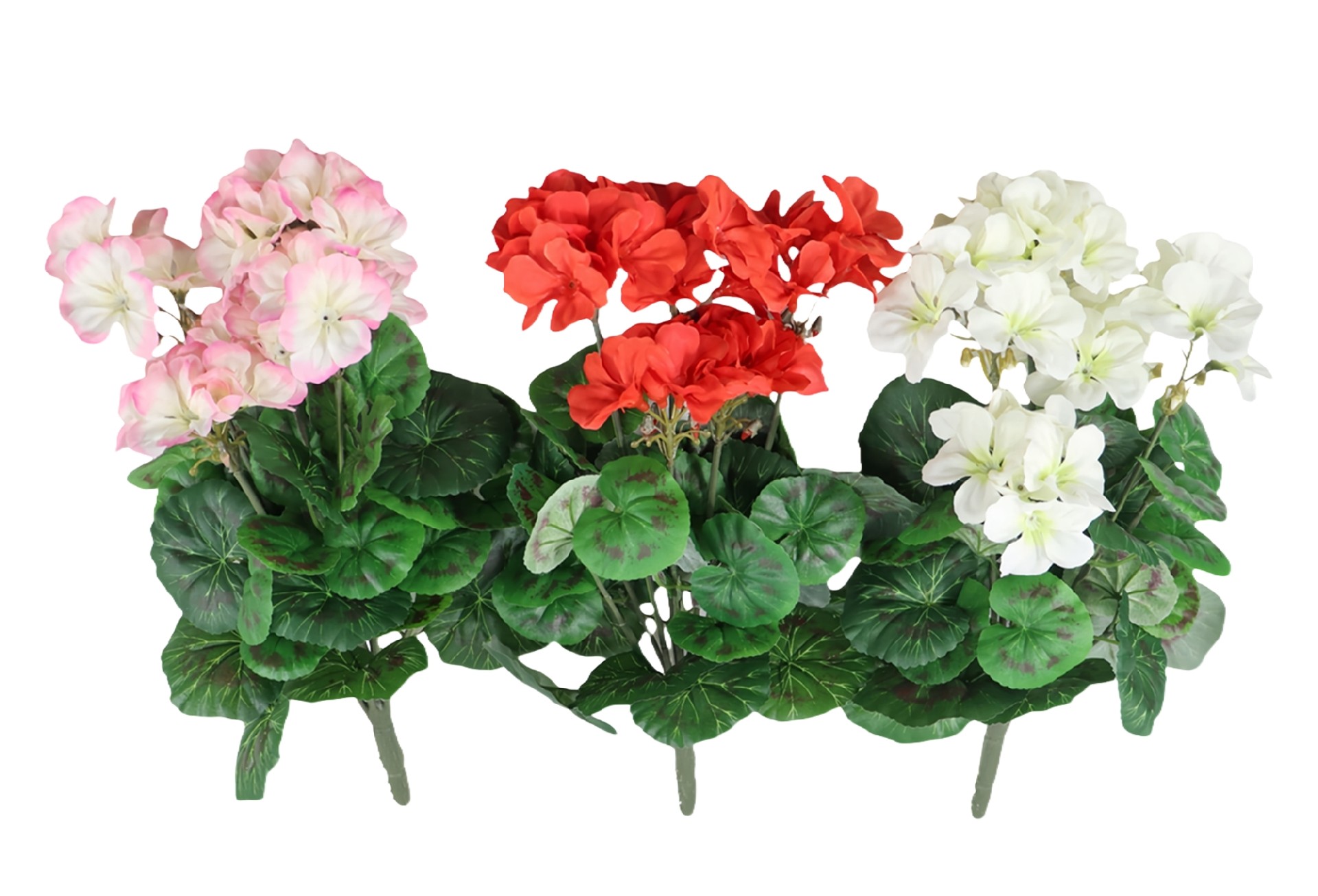 B250089GR-40 (1).JPG