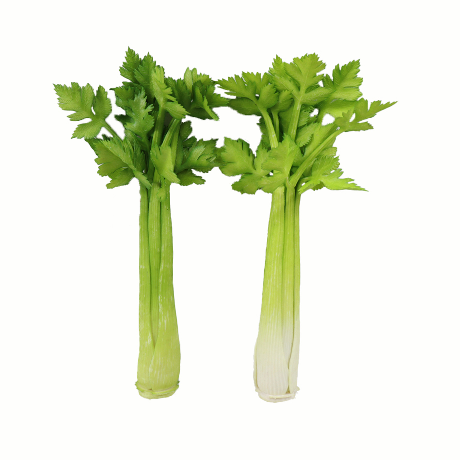 B250116YG-30 (2).JPG