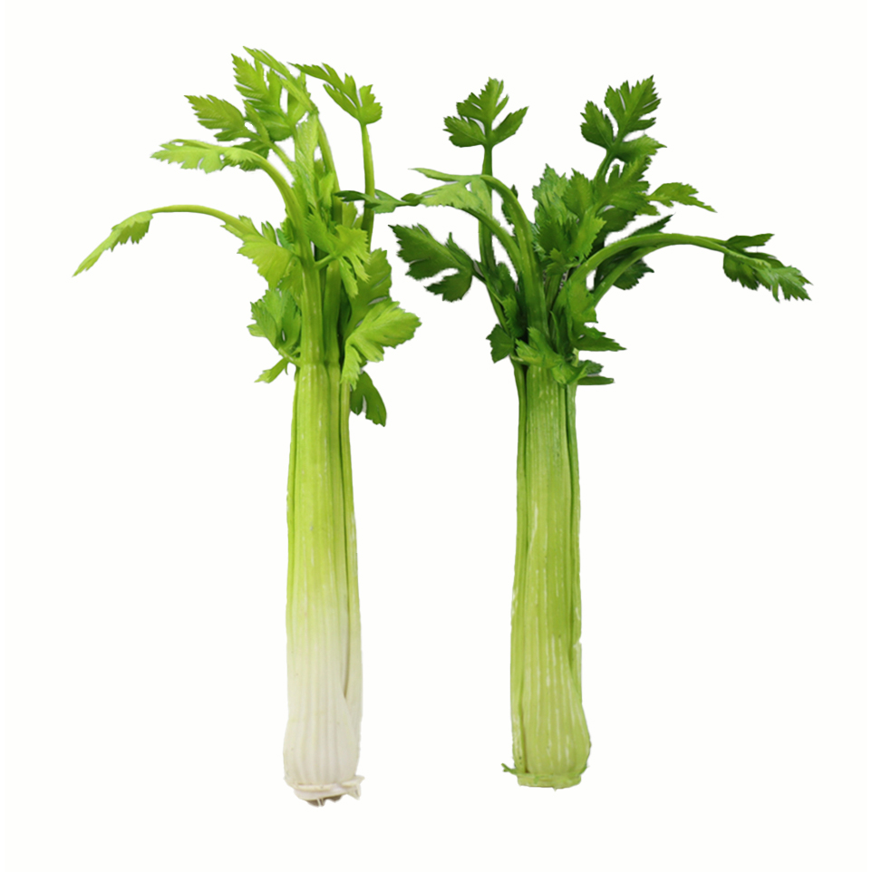 B250118YG-40 (2).JPG