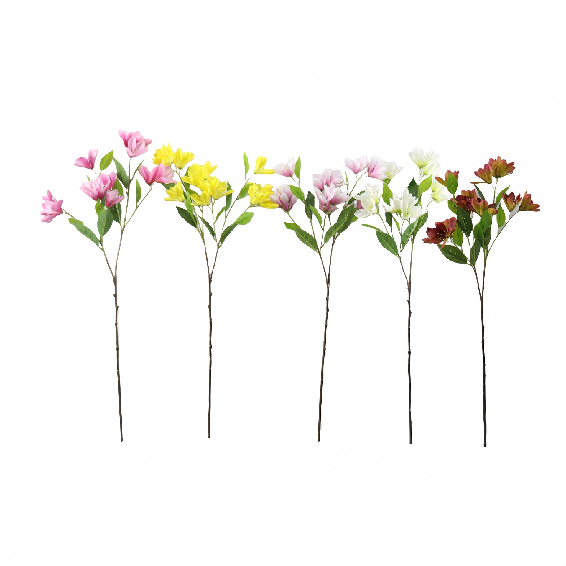 B250207LY-84 (1).JPG