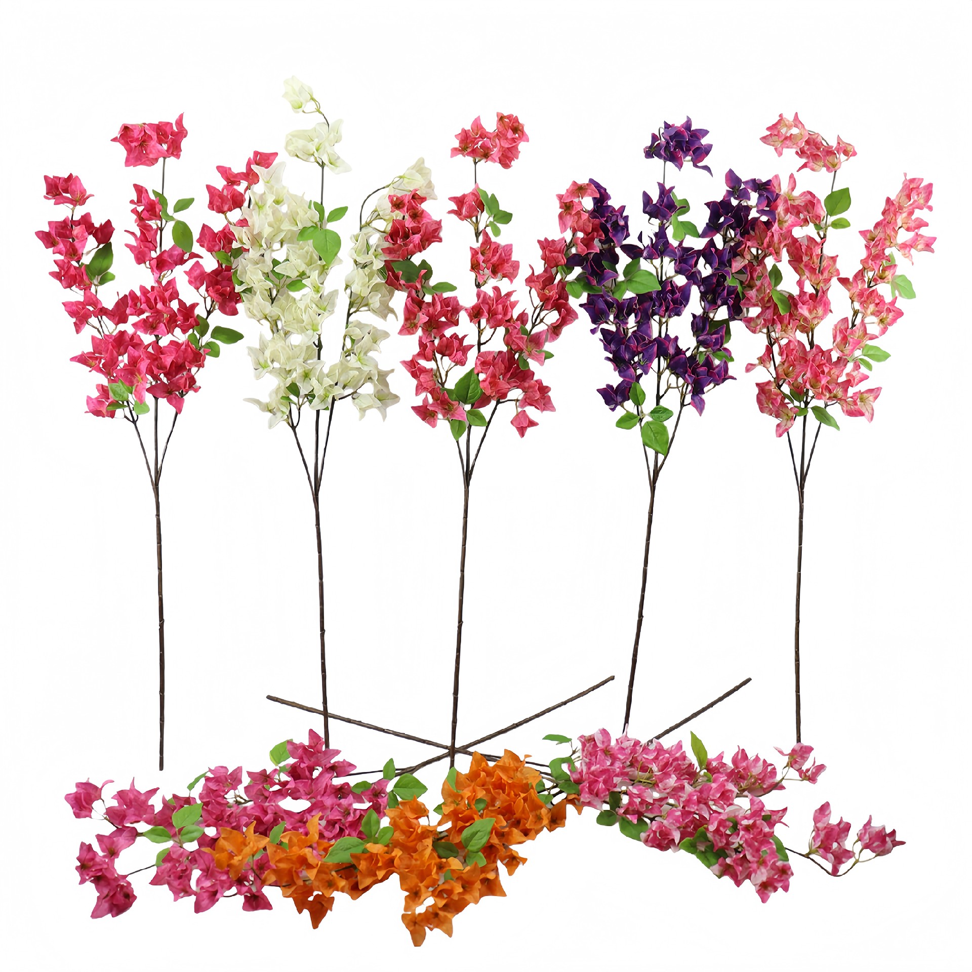 B250208LY-100 (1).JPG