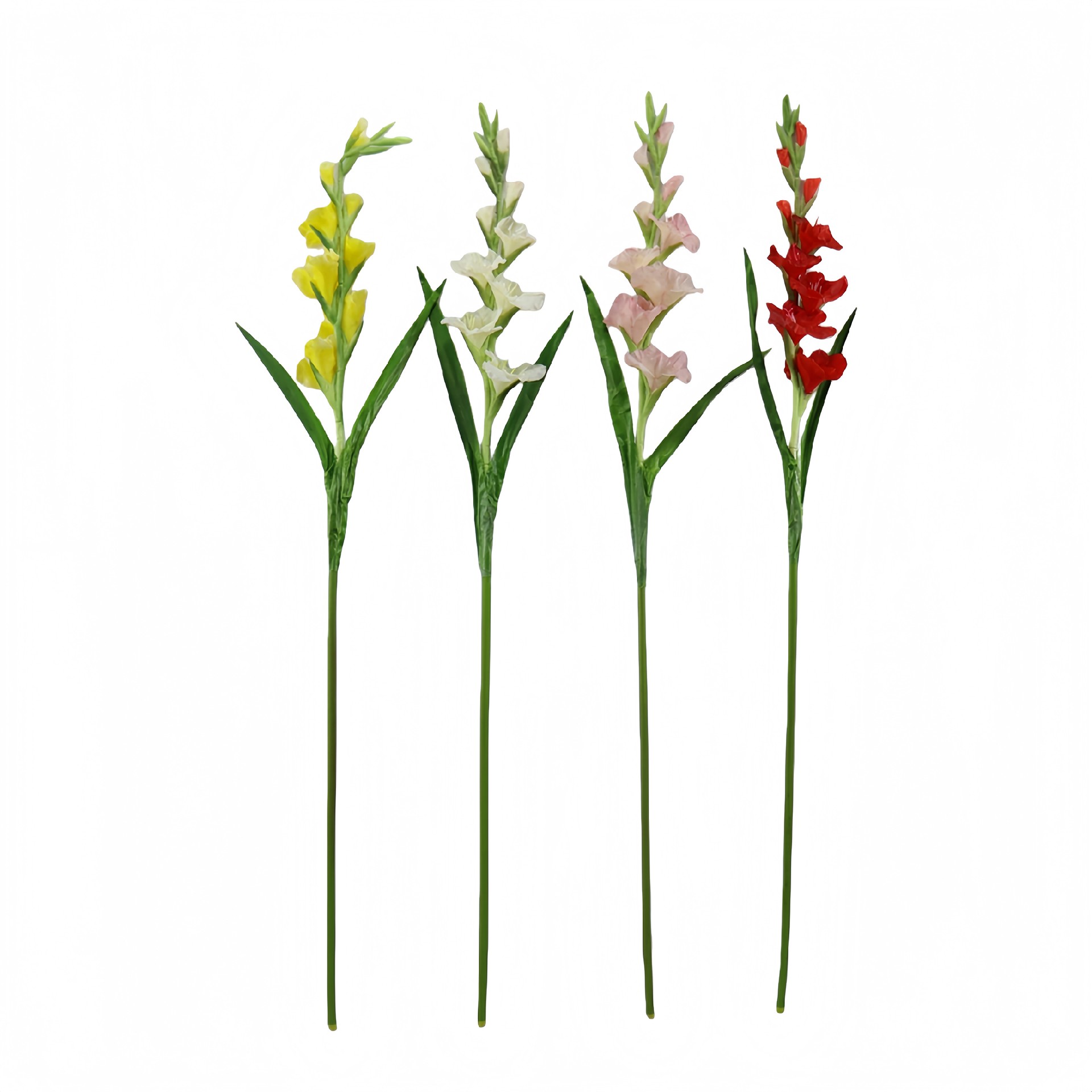 B250236WS-107 (1).JPG