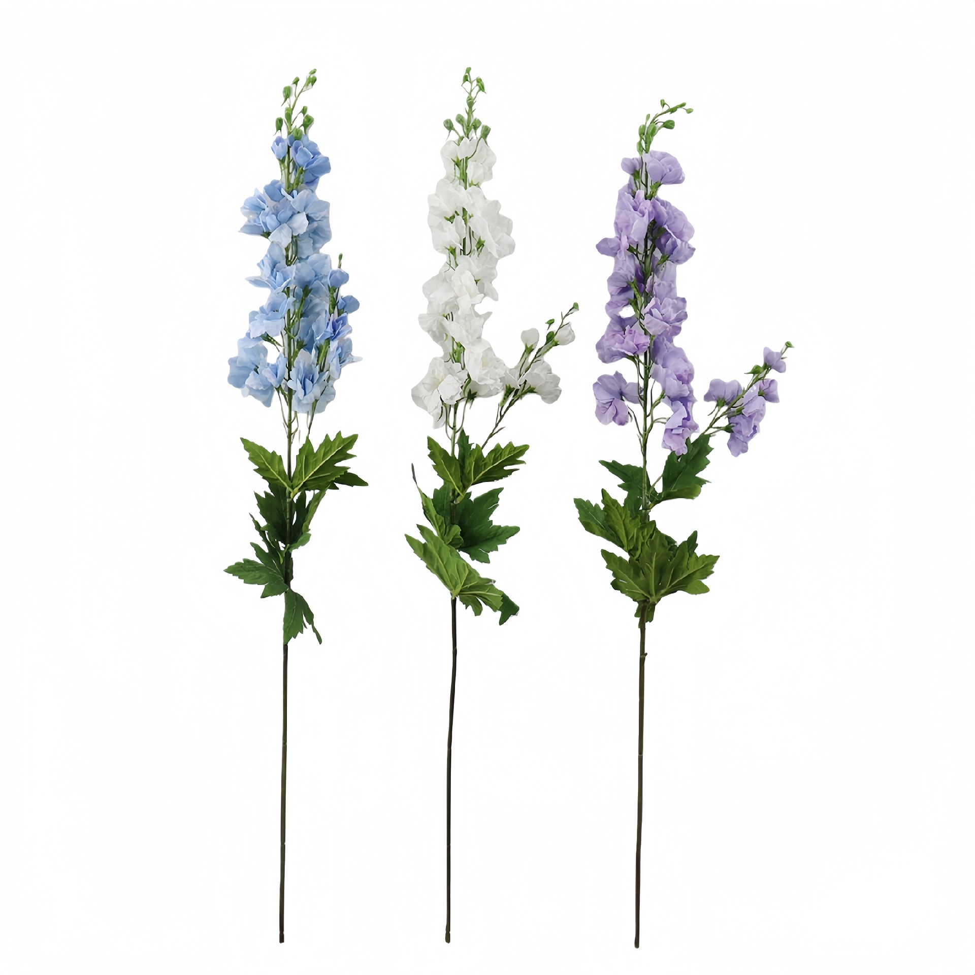 B250239WS-90 (1).JPG