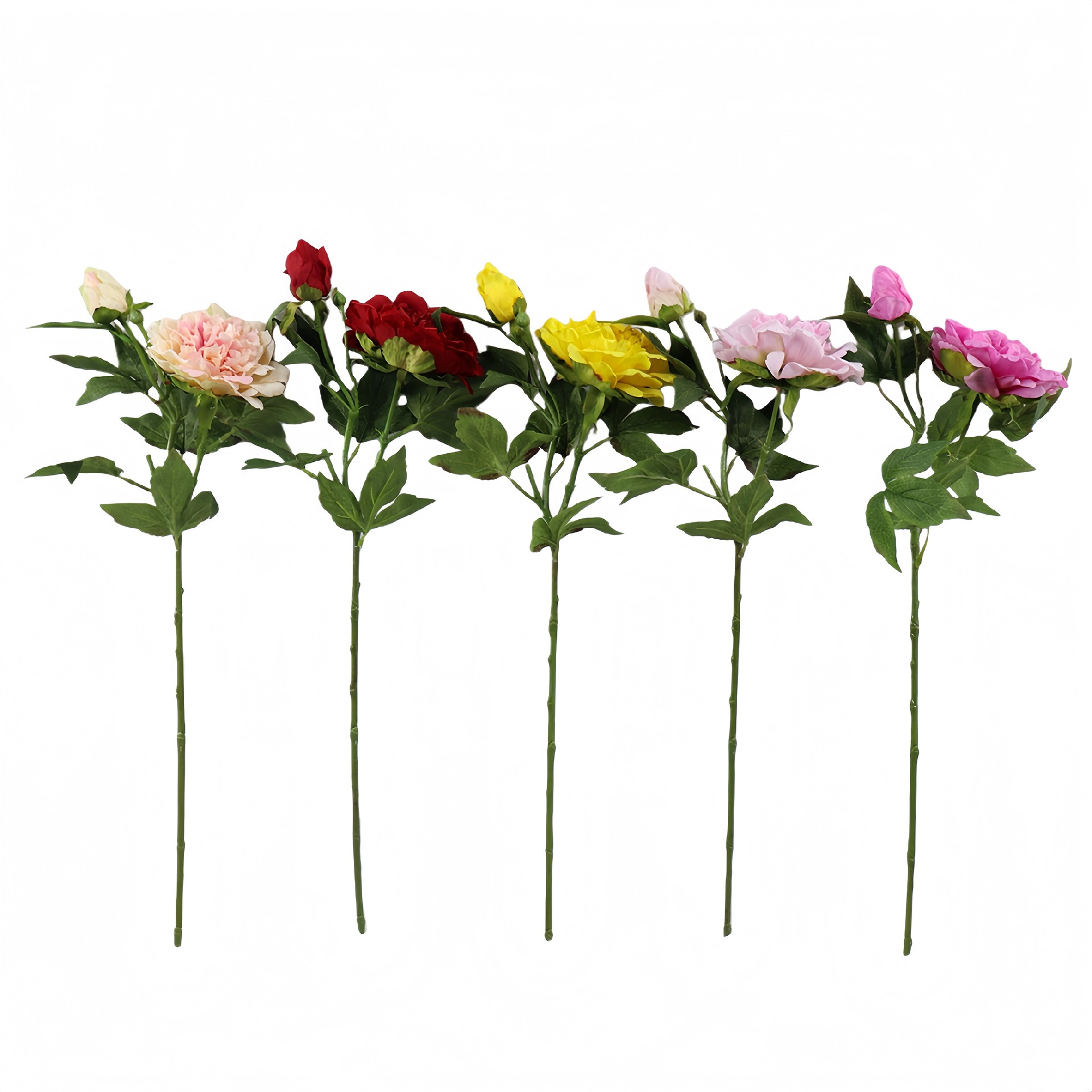 B250242WS-65 (1).JPG