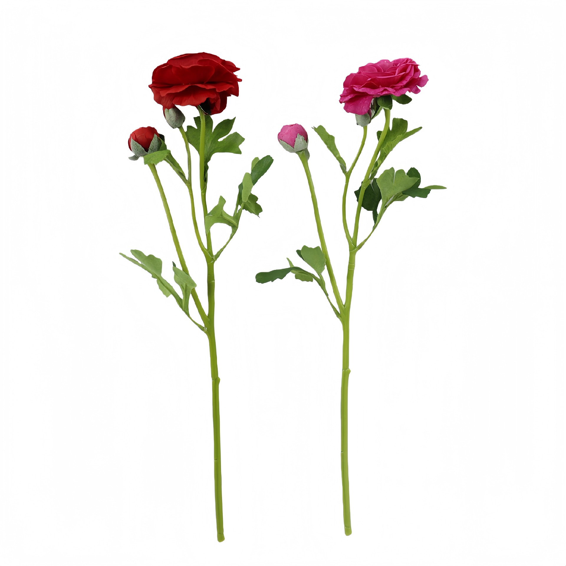 B250244WS-54 (1).JPG