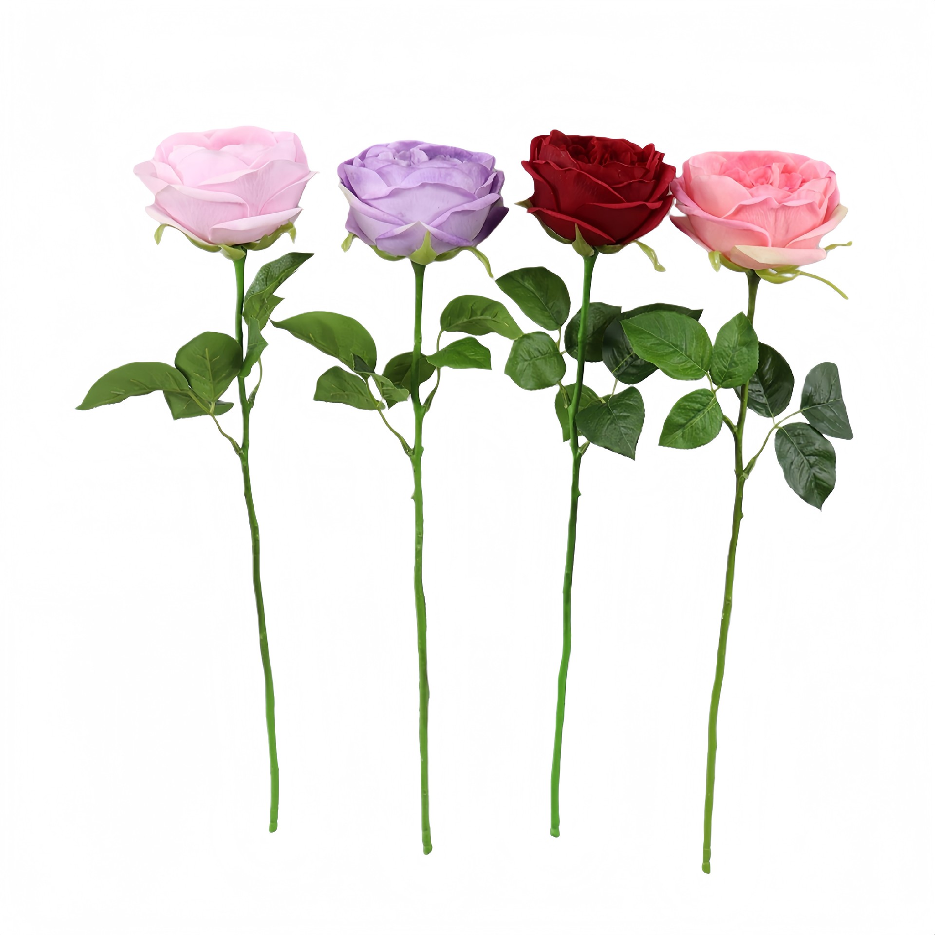 B250245WS-48 (1).JPG