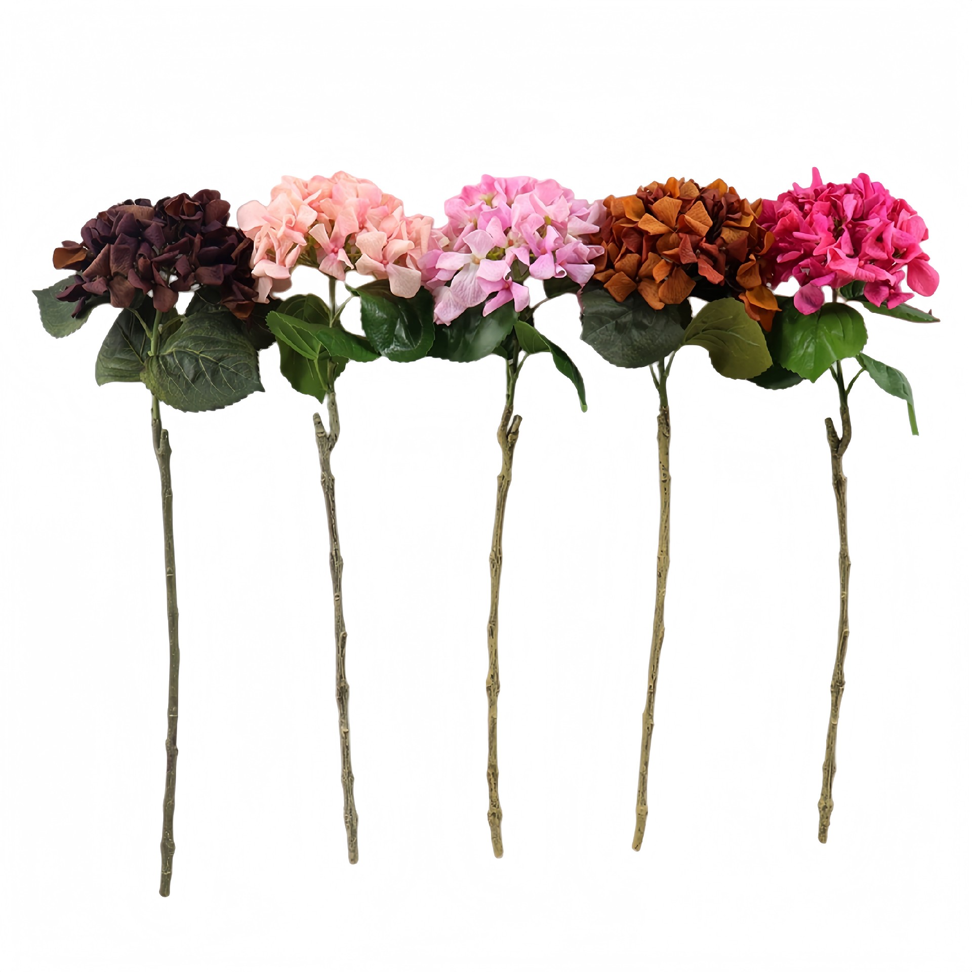 B250250WS-60 (1).JPG