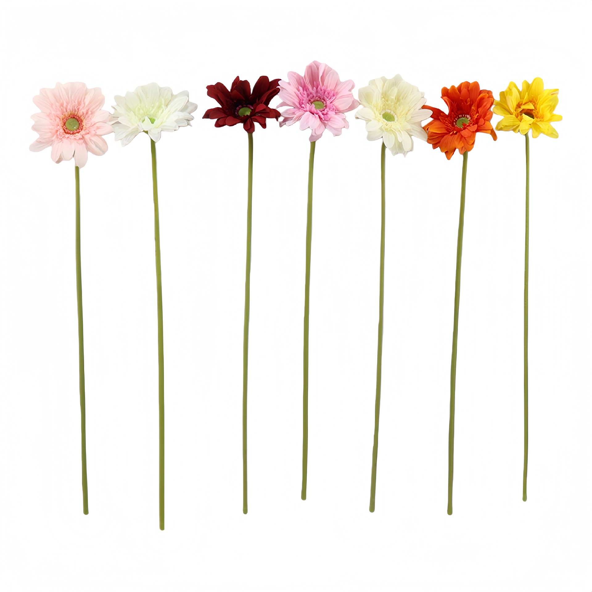 B250251WS-66 (1).JPG