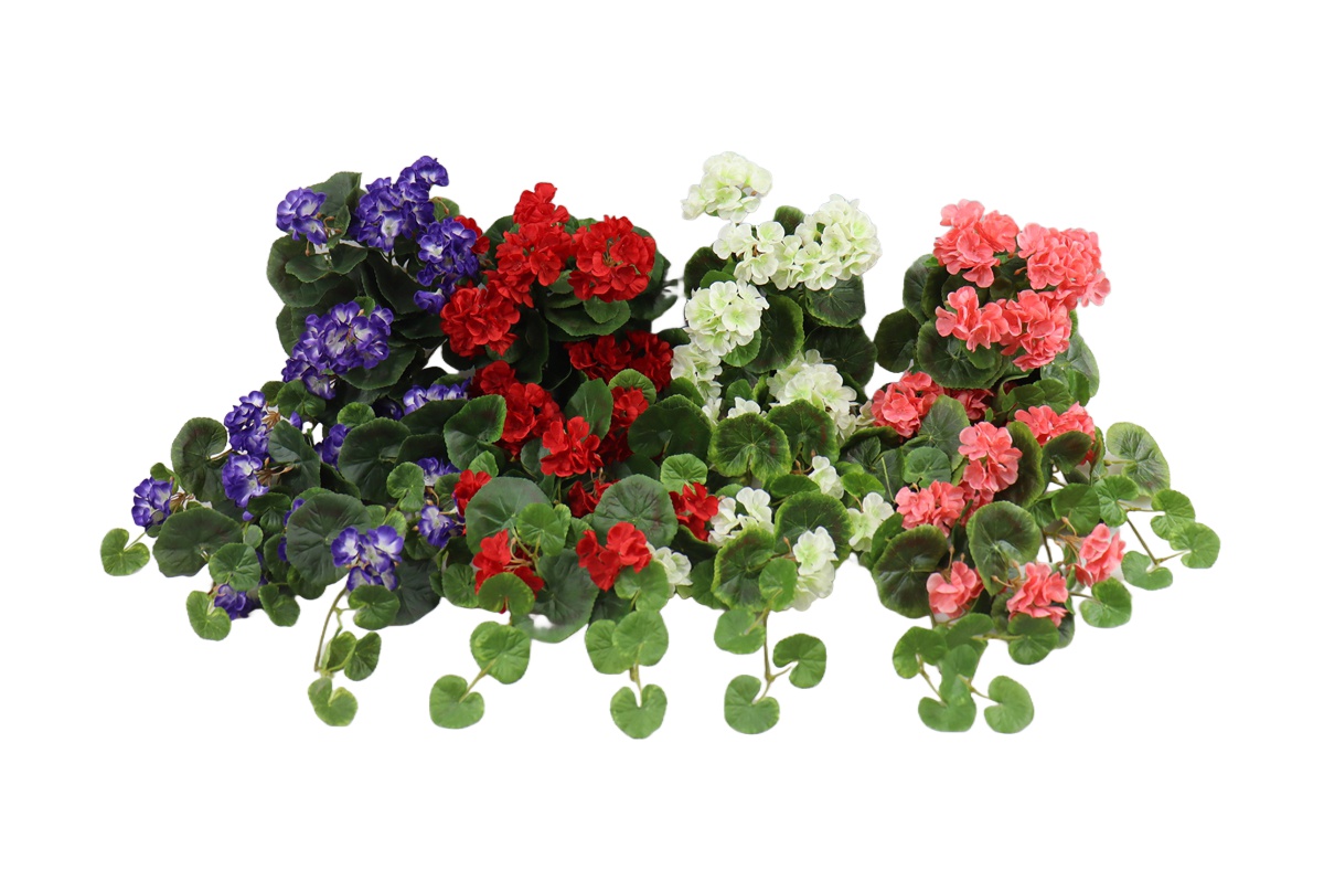 B250271QS-60 (1).jpg