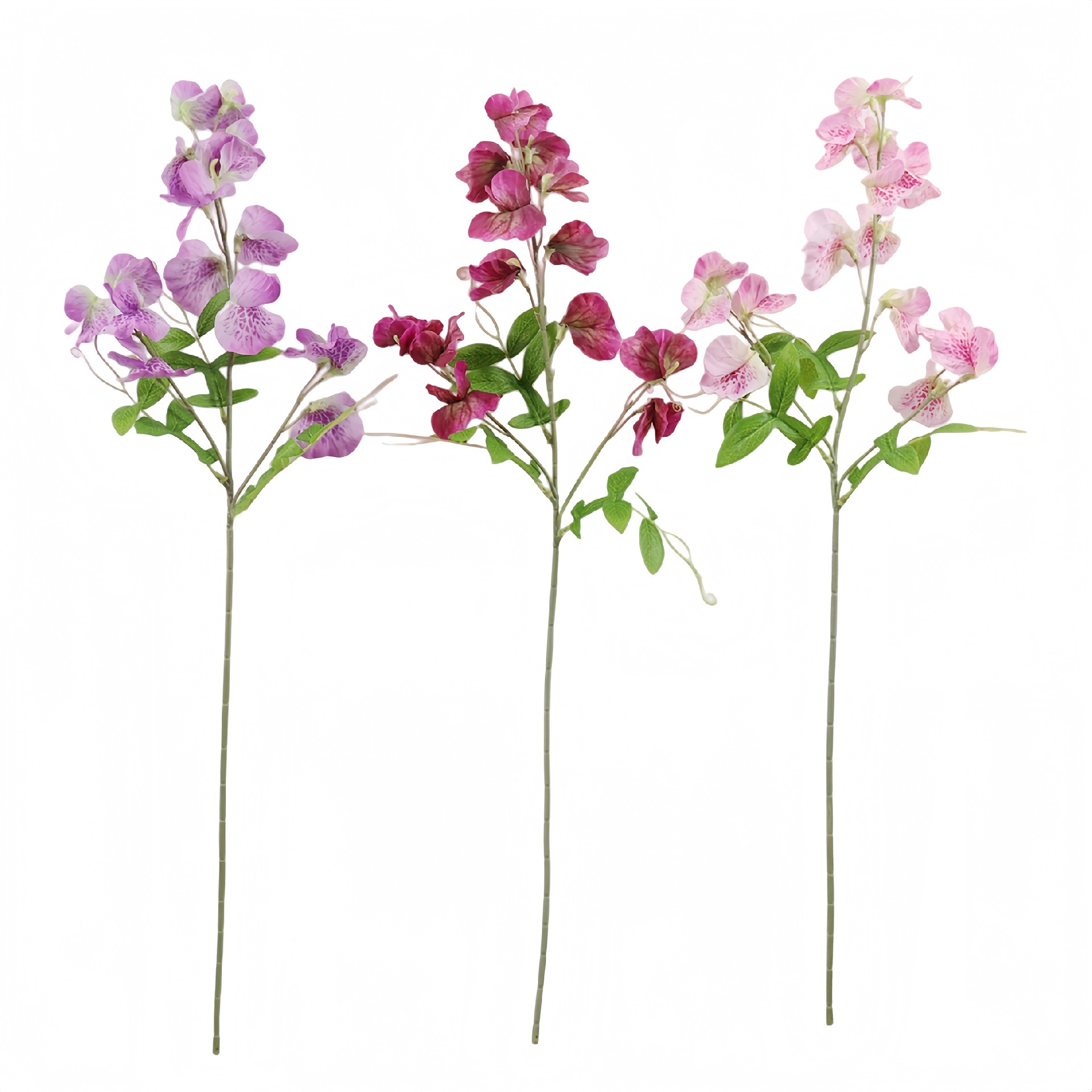 B250282ZY-66 (1).JPG