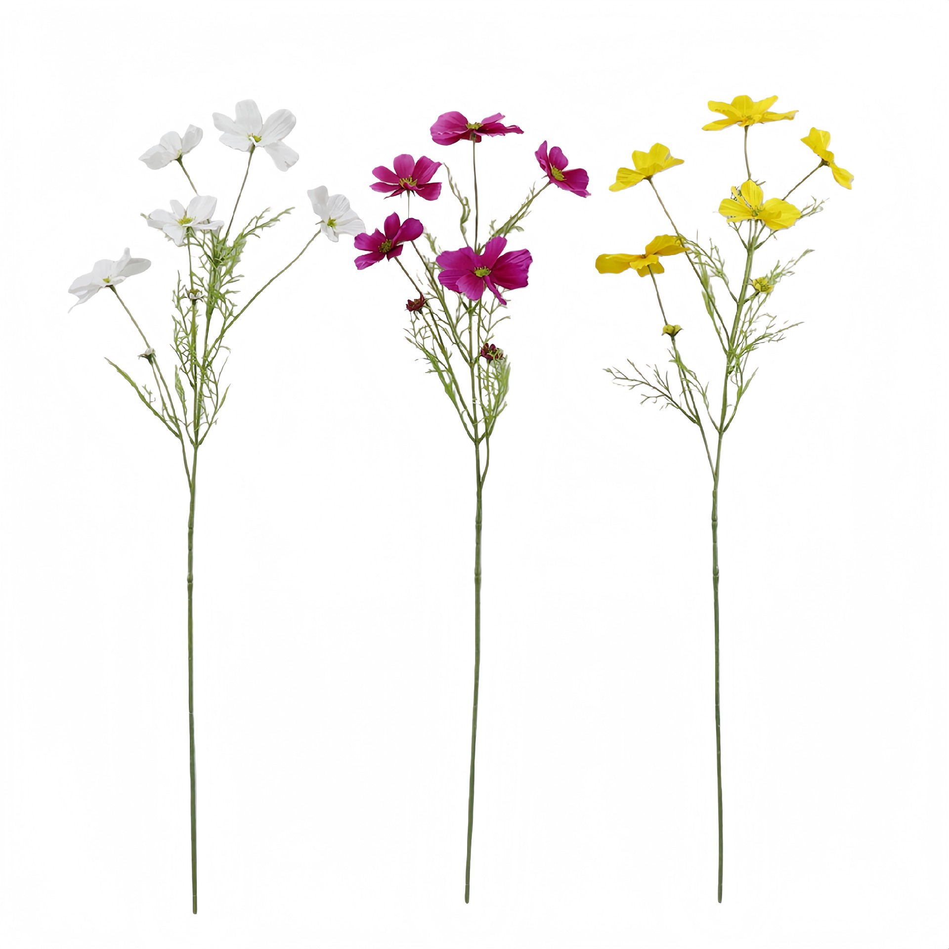 B250313YH-76 (1).JPG