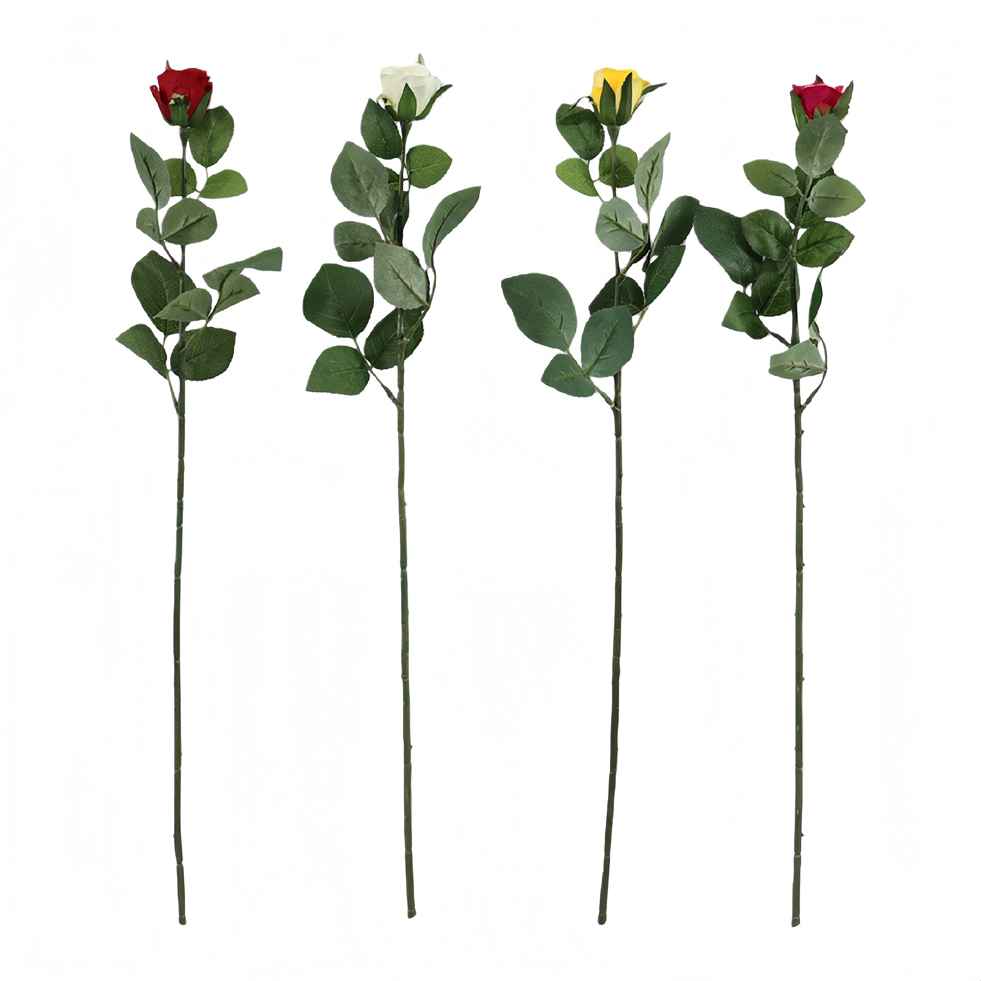 B250316YH-63 (1).JPG