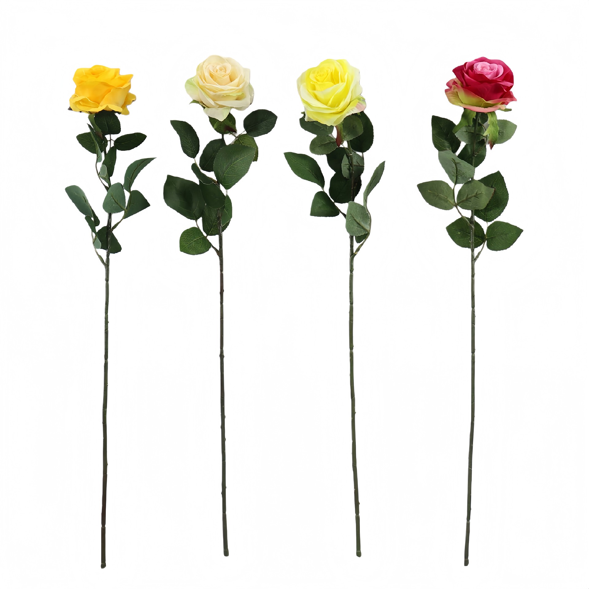 B250319YH-64 (1).JPG