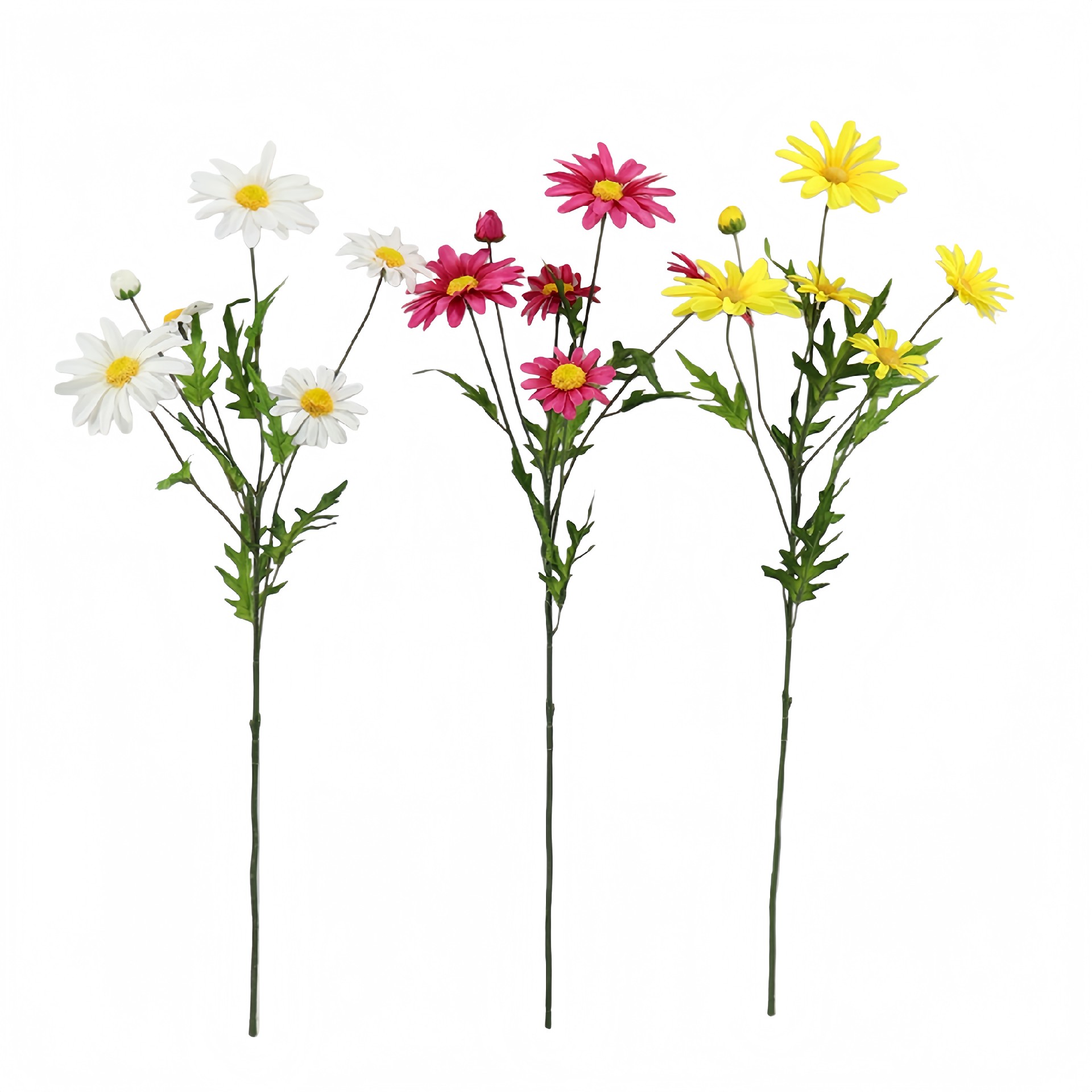 B250321YH-66 (1).JPG