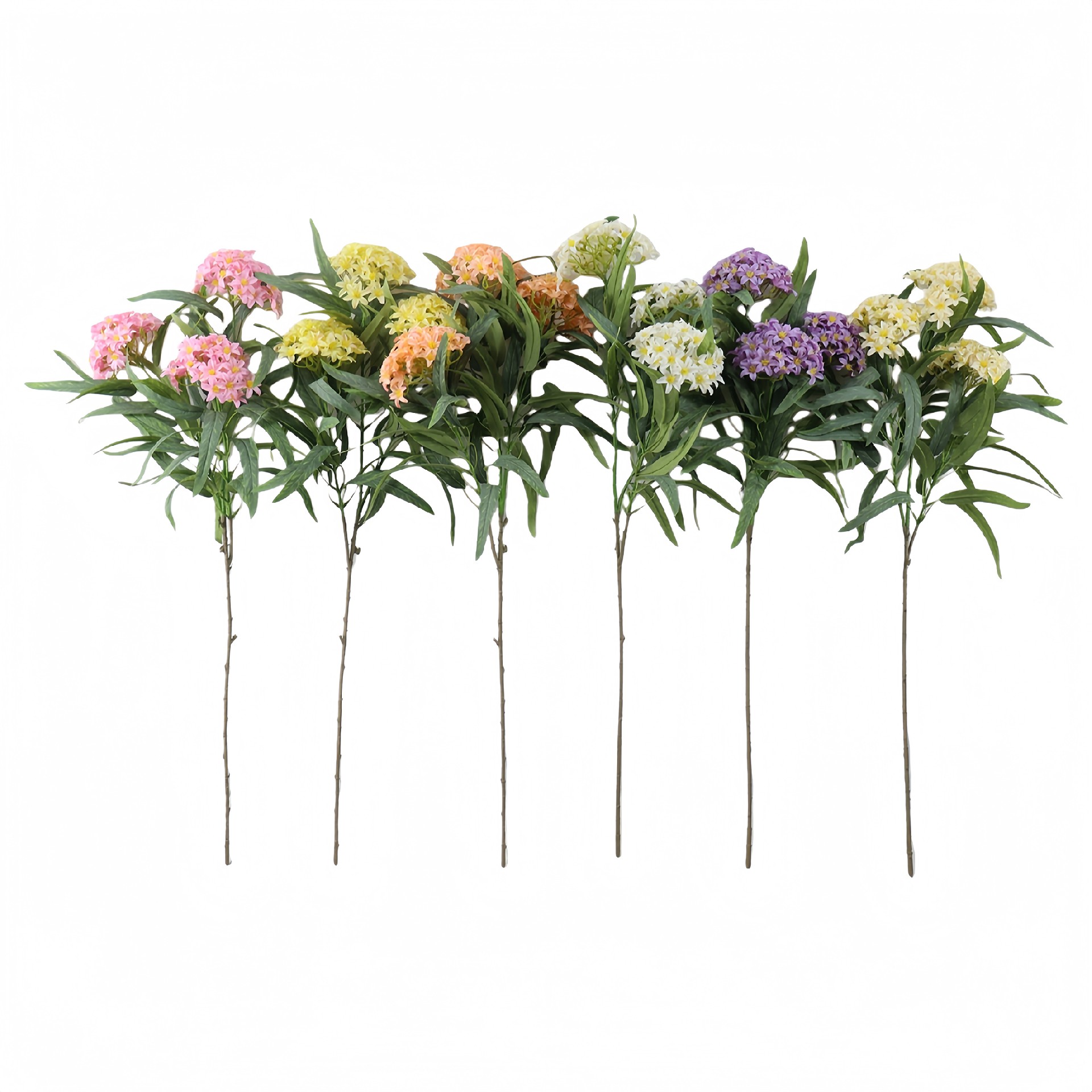 B250359RY-90 (1).JPG