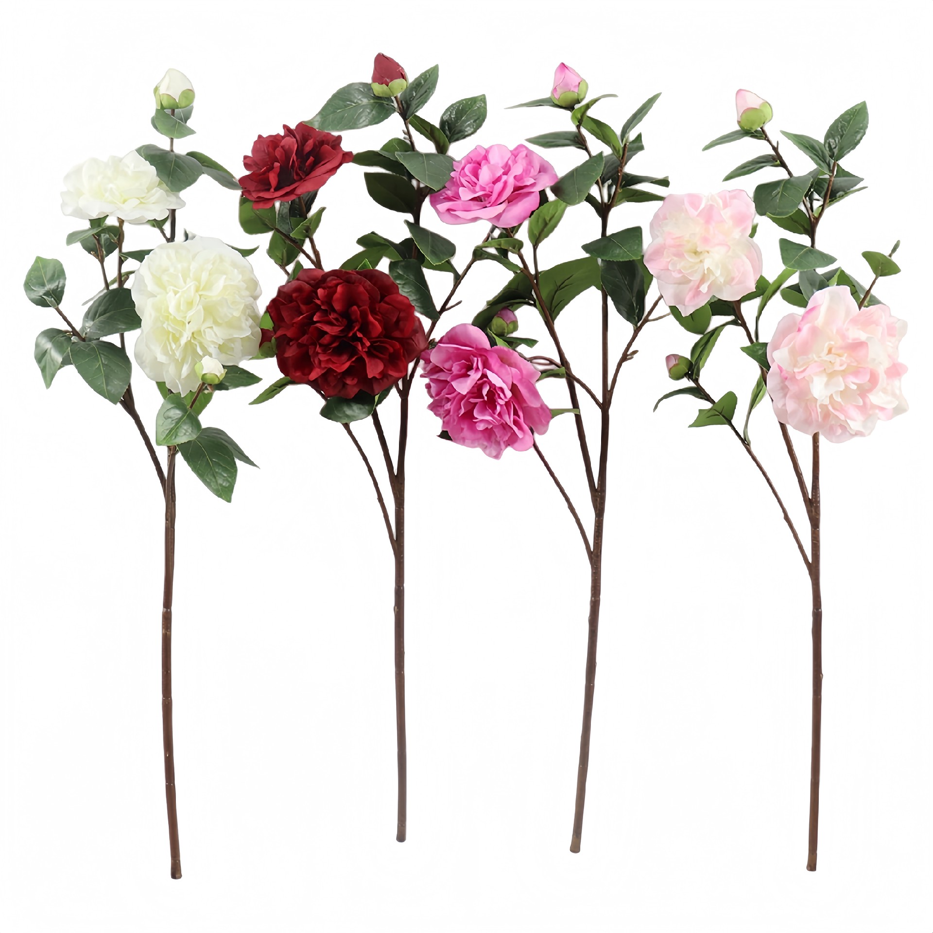 B250372GL-66 (1).JPG