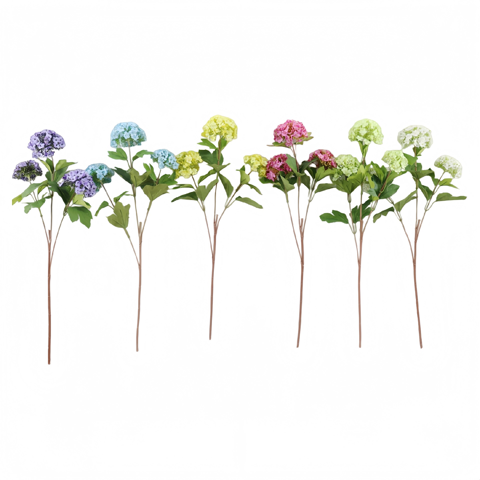 B250383GL-57 (1).JPG