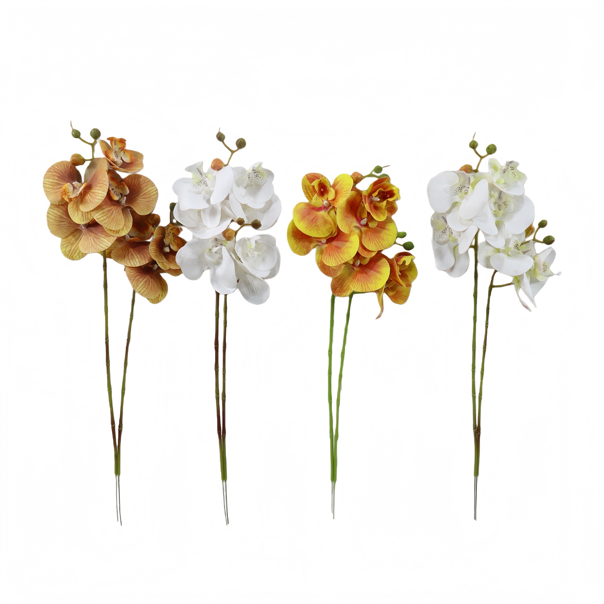 B250453SX-45 (15).JPG