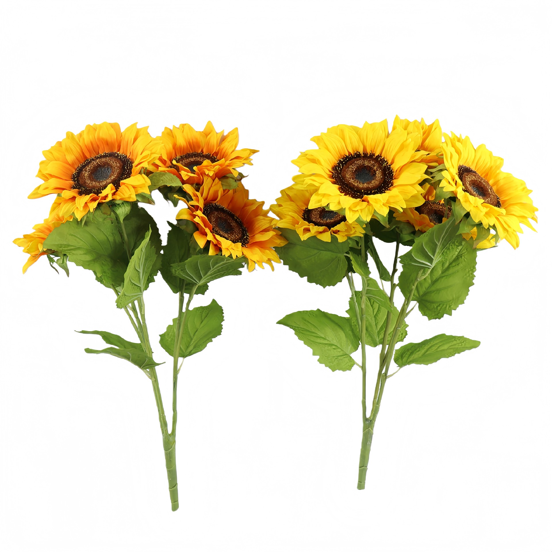 B250461YH-56 (1).JPG