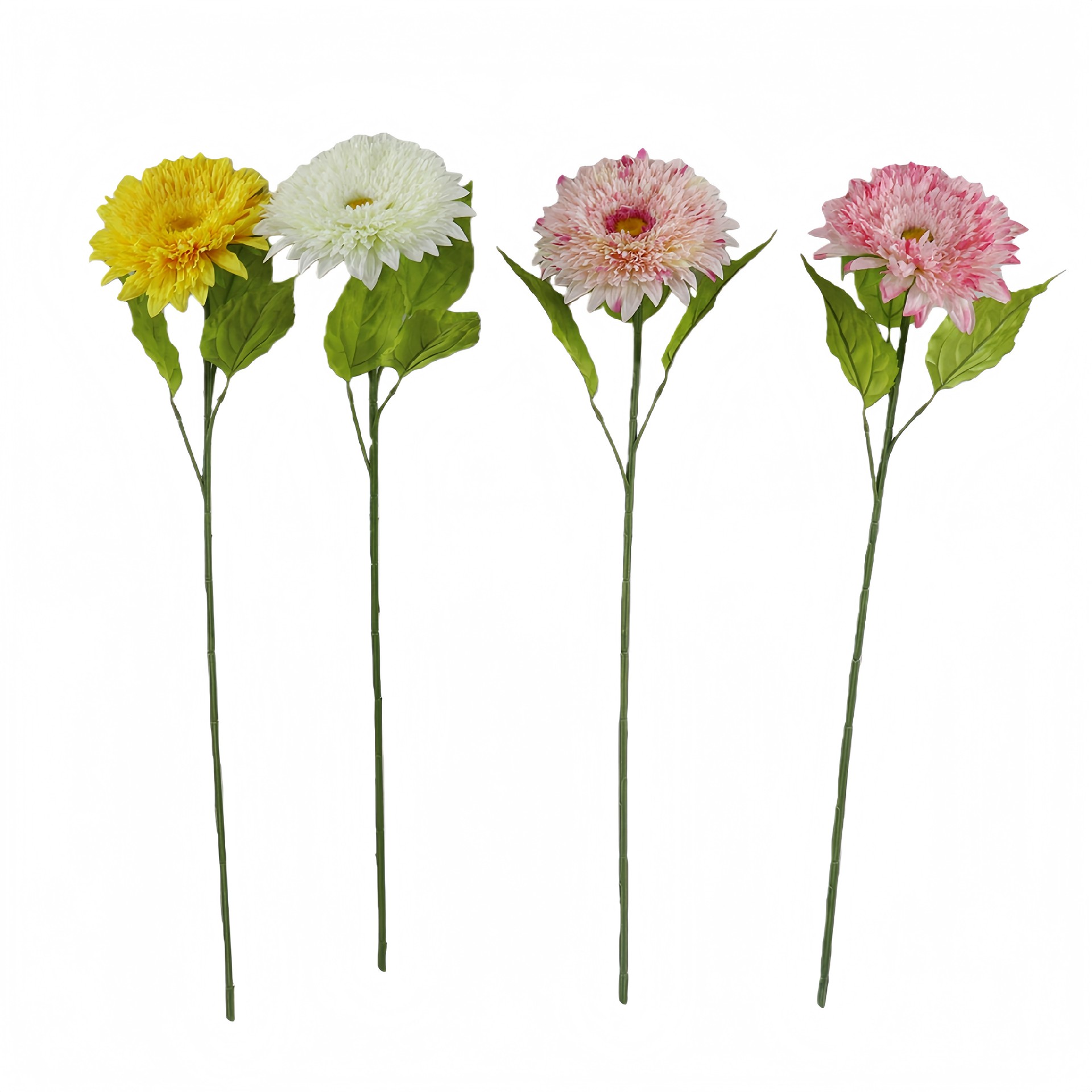 B250464YH-68 (1).JPG