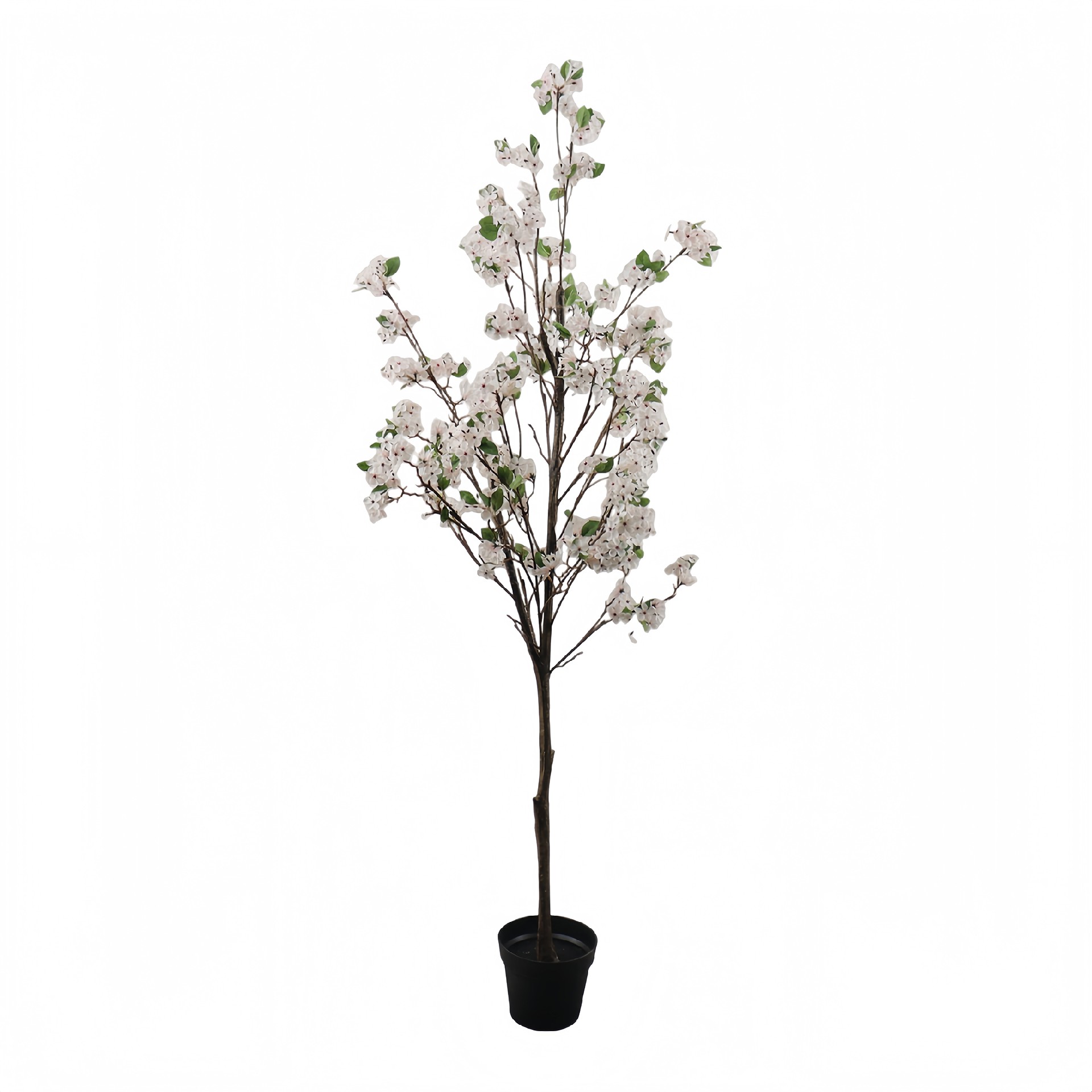 P250863GL-180 (1).JPG