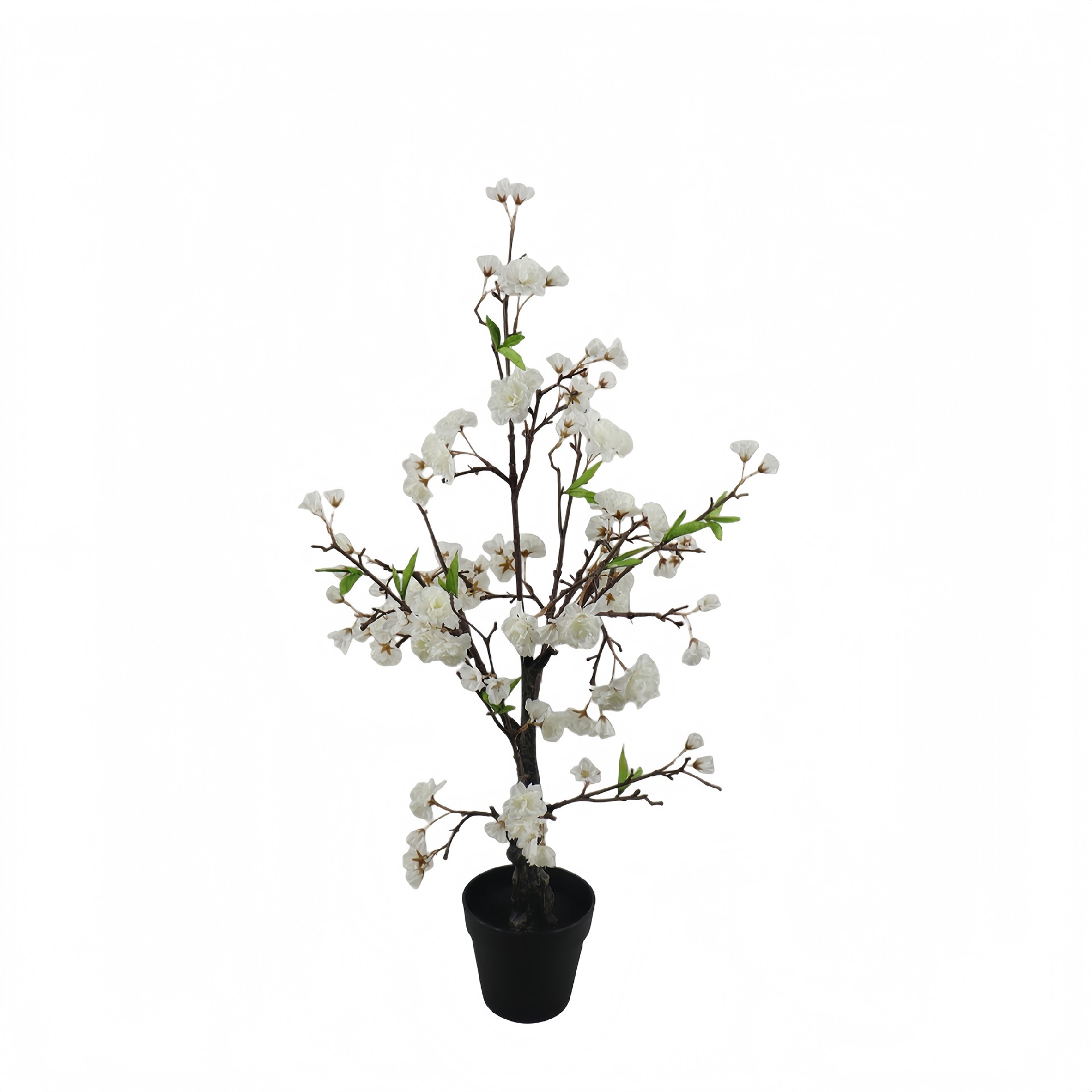 P250859GL-80 (1).JPG