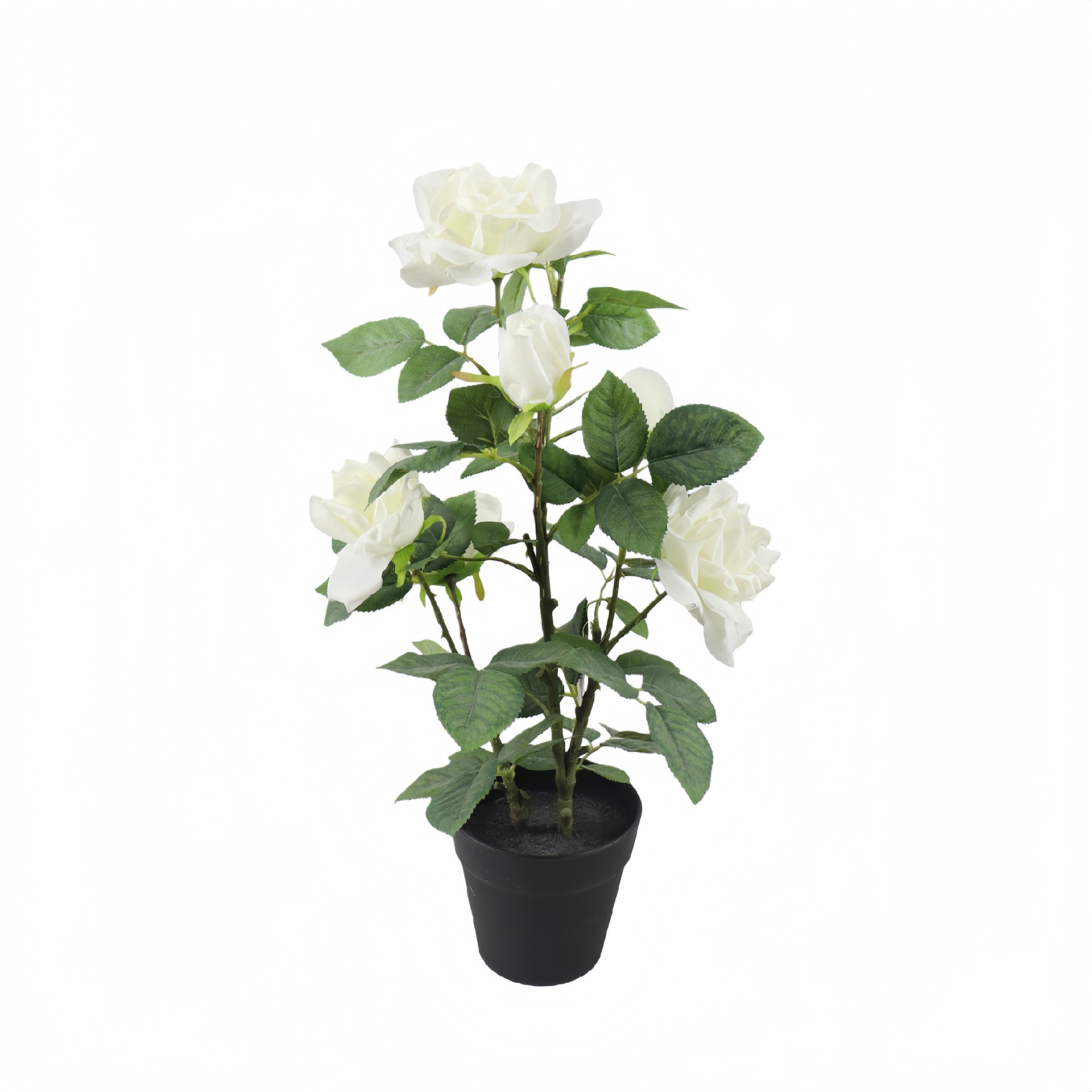 P250857GL-62 (1).JPG