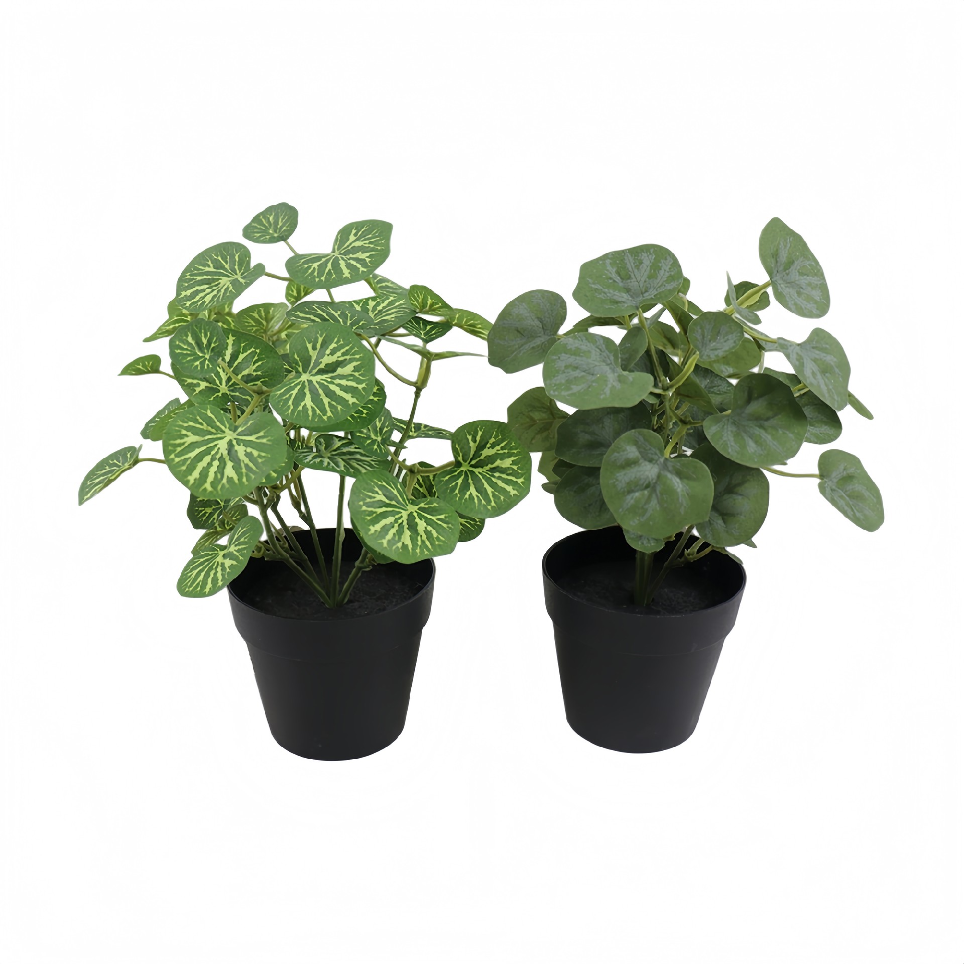 P250845GL-22 (1).JPG