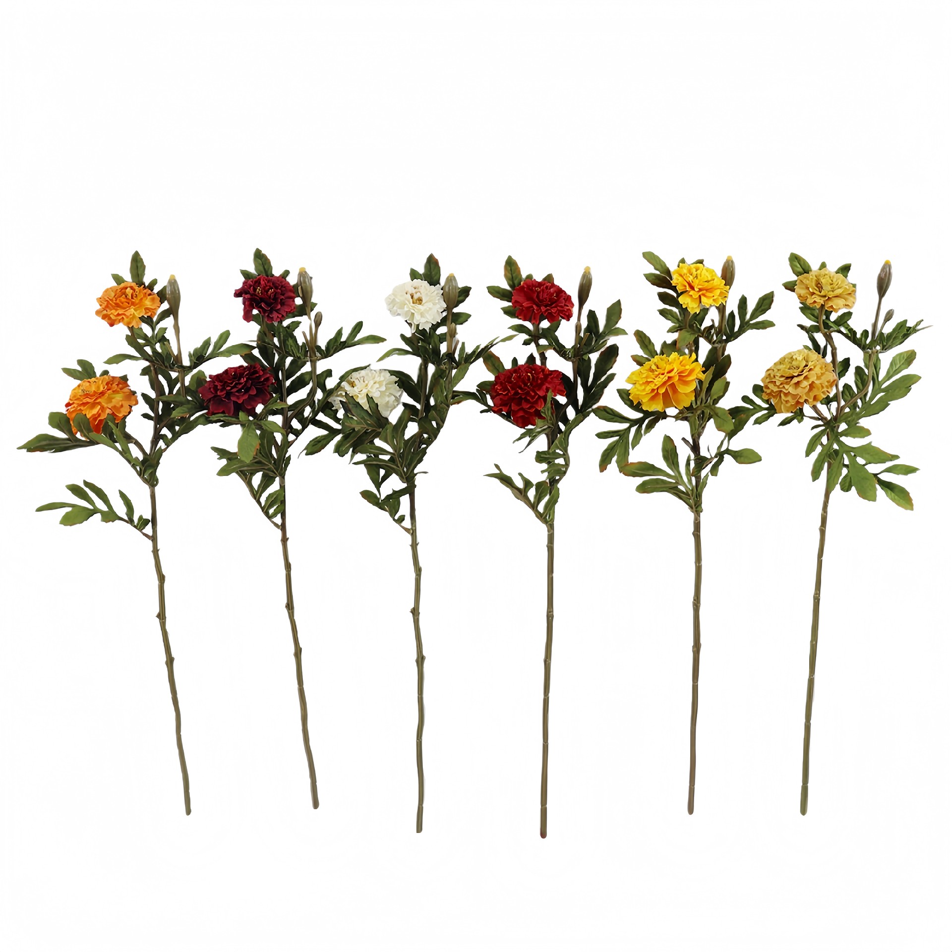 B250311YH-57 (1).JPG