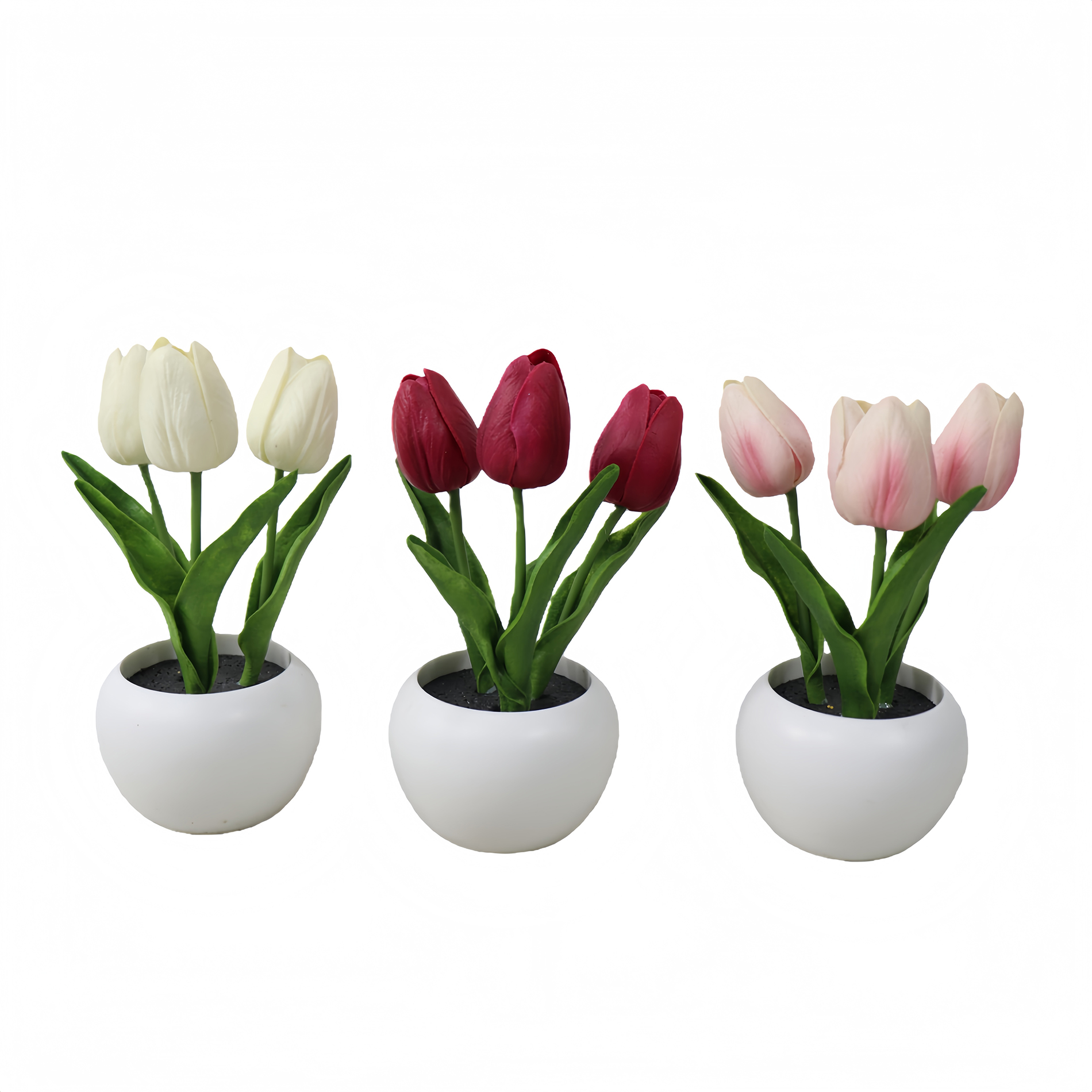 P250986JDL-19  (1).JPG