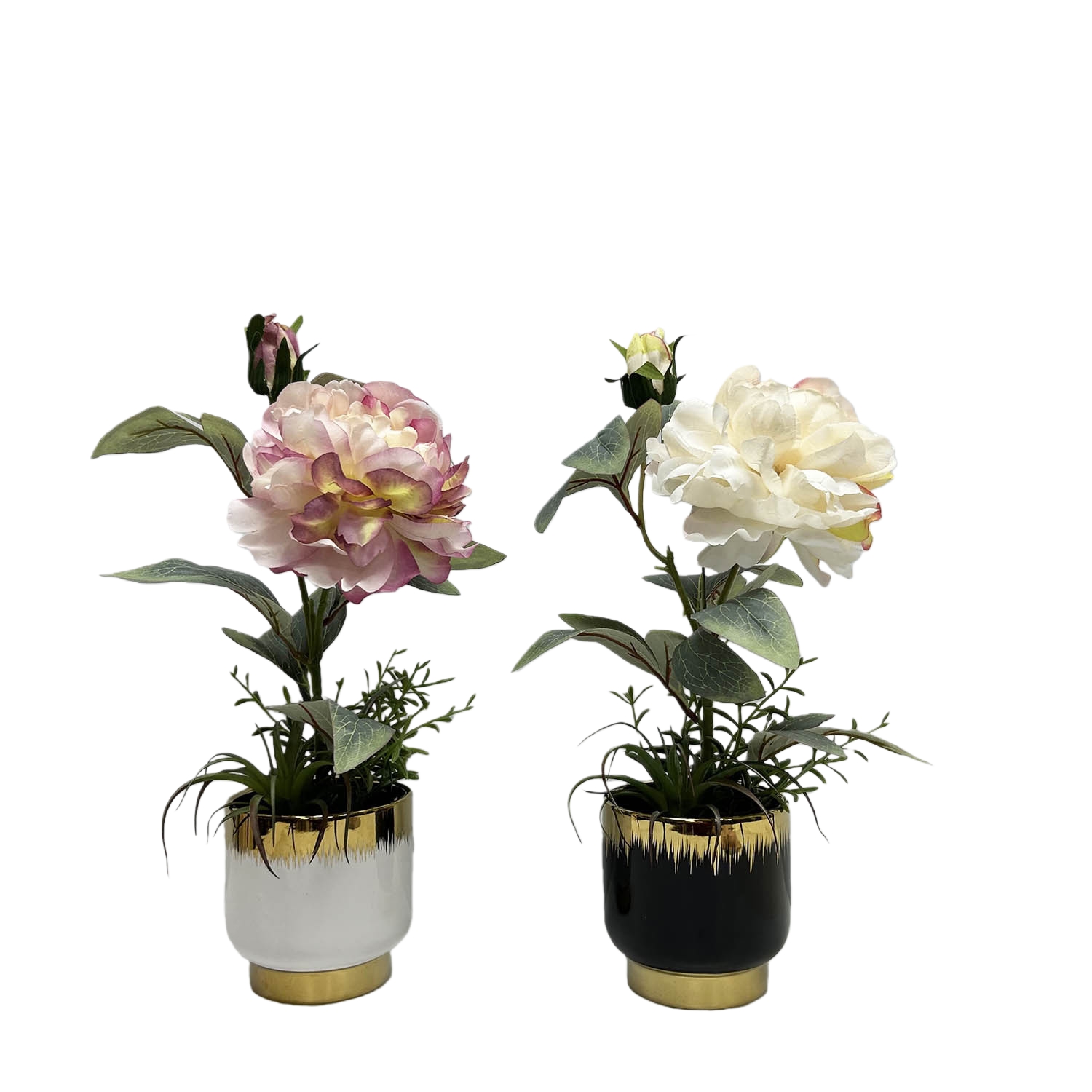 P230064-38 两色 .jpg