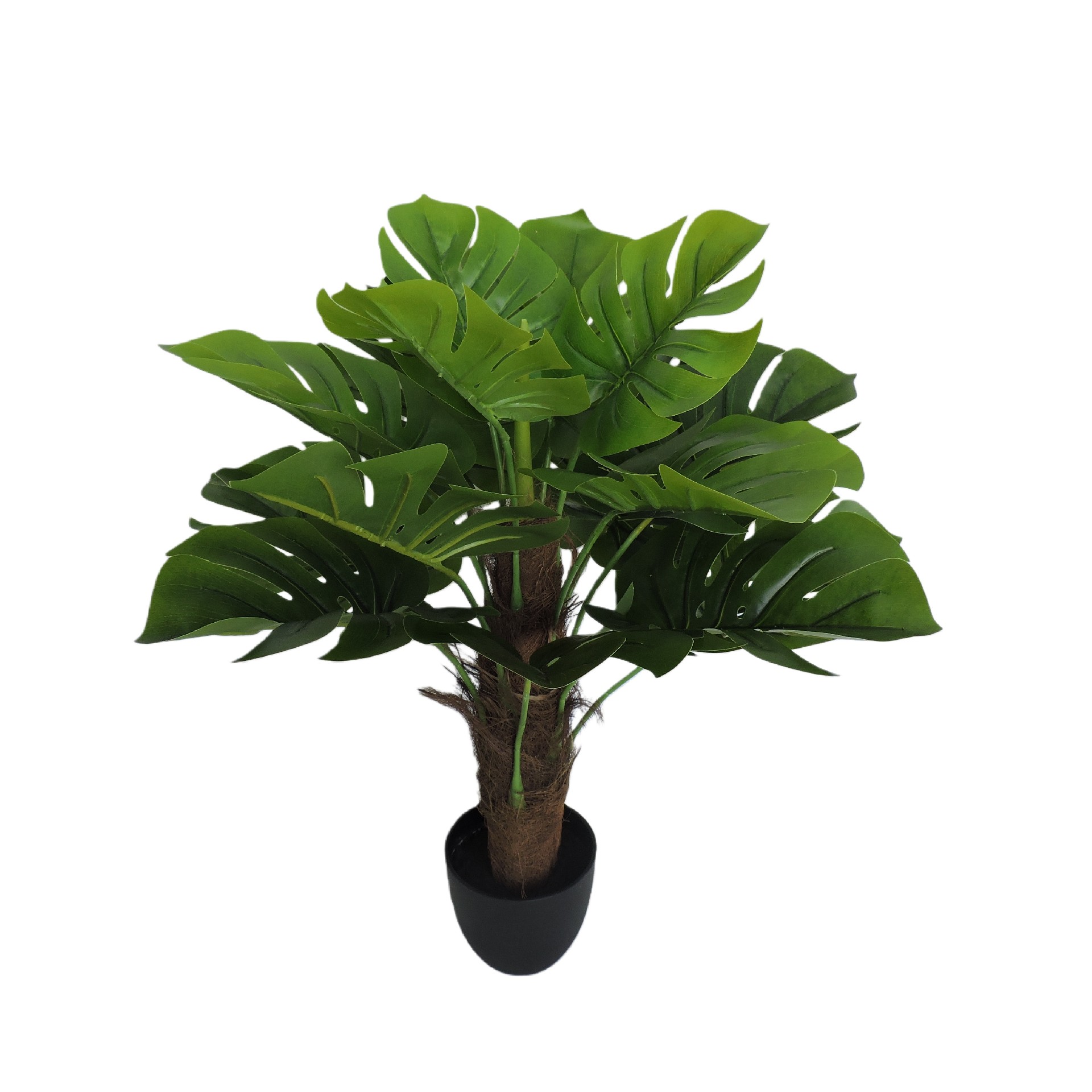 P200035TY-70 (2).JPG