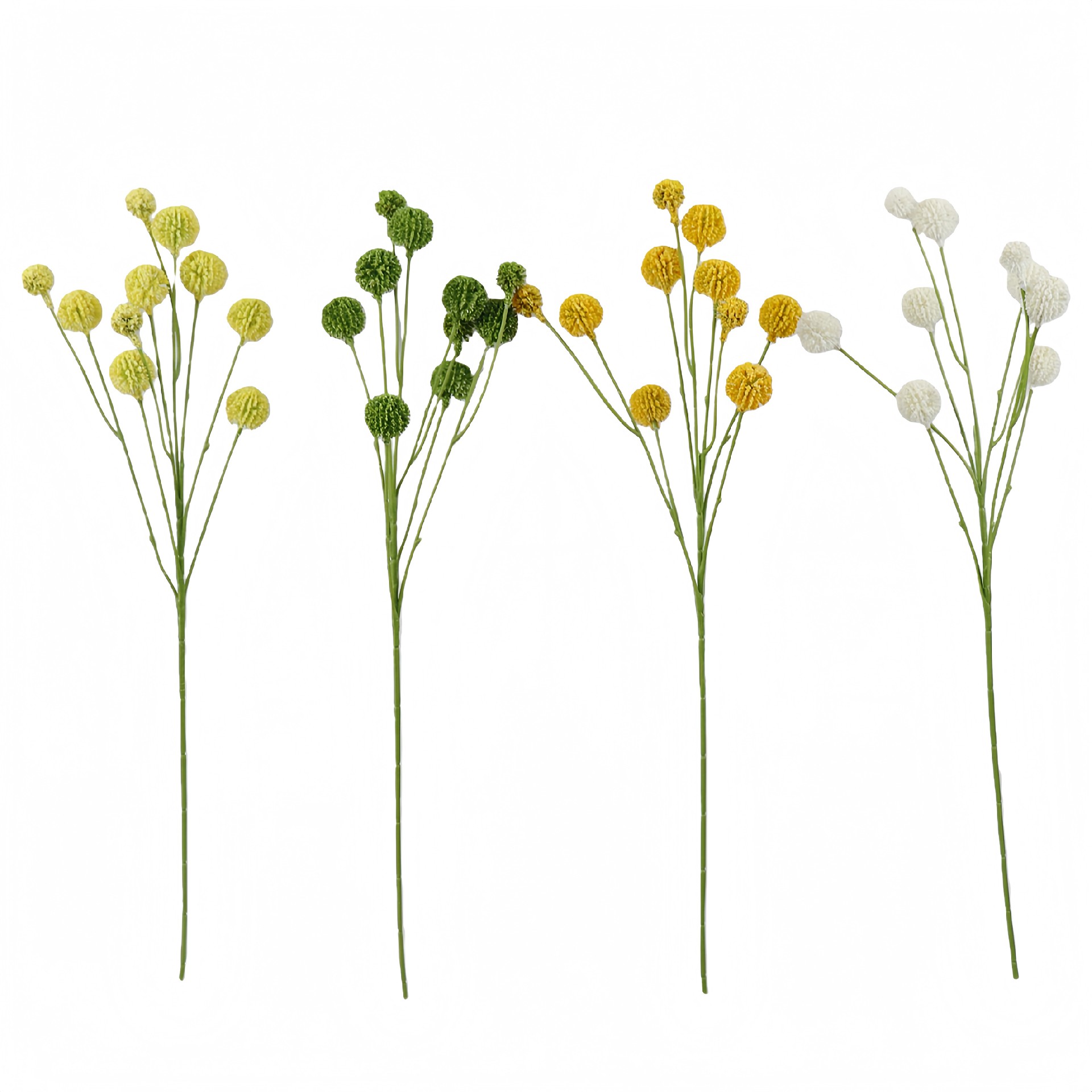 B250096YB-56 (1).JPG