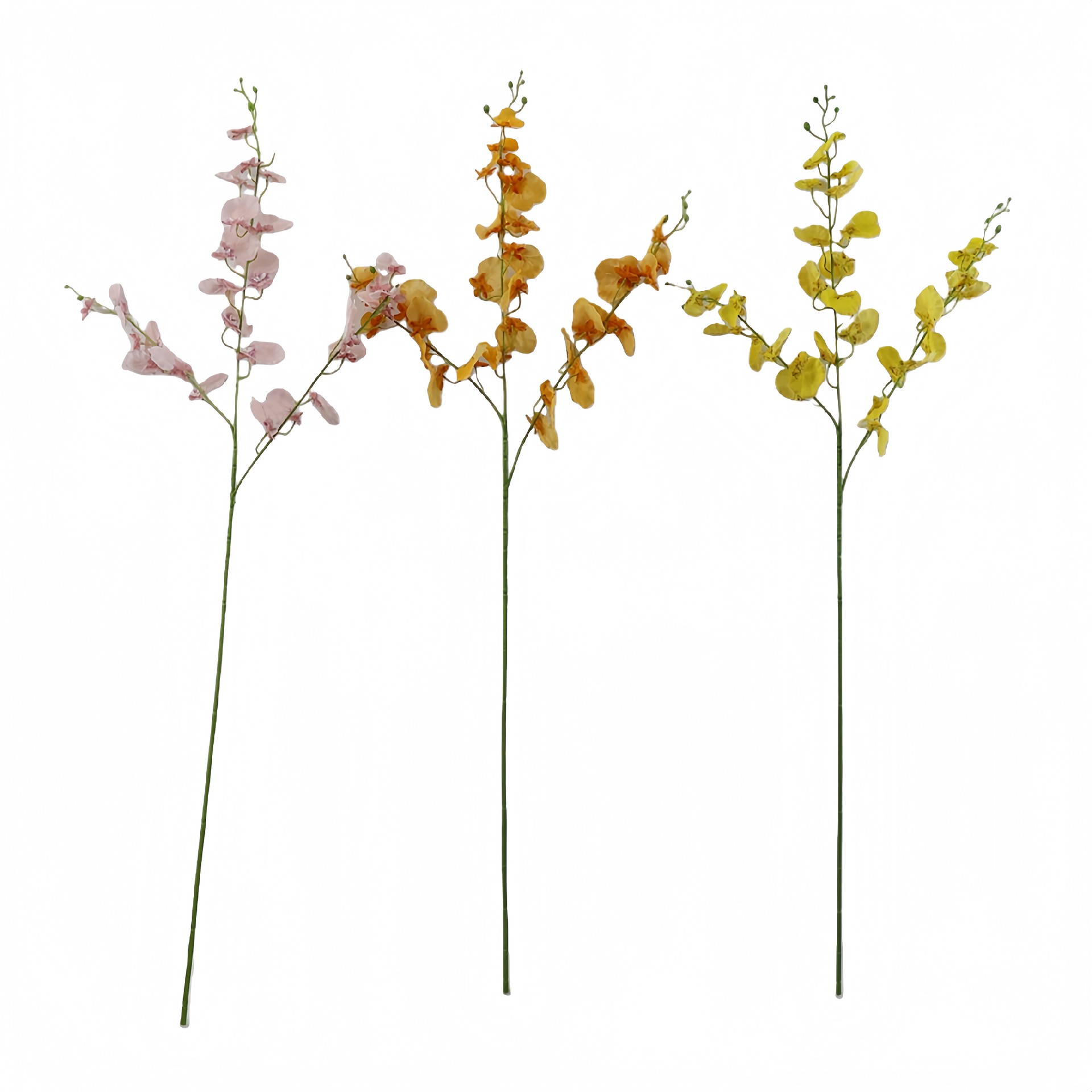 B250229WS-95 (1).JPG