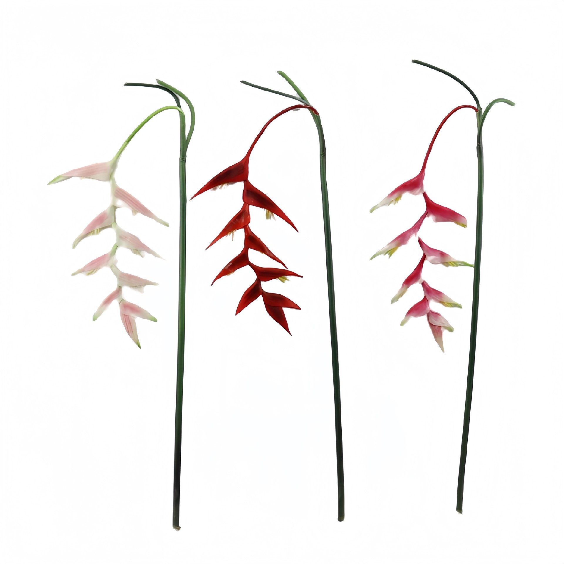 B250247WS-38 (1).JPG