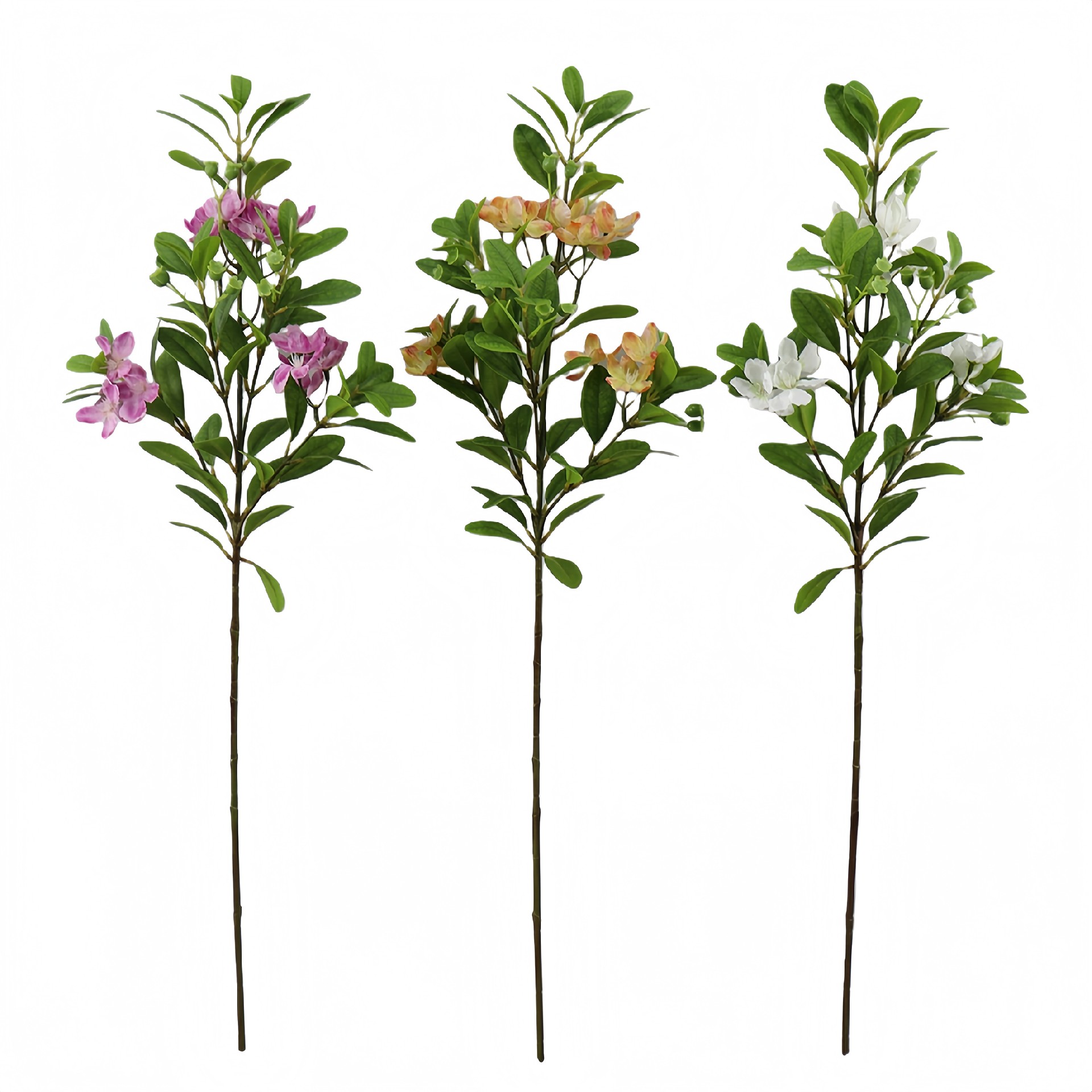 B250270HK-46 (1).JPG