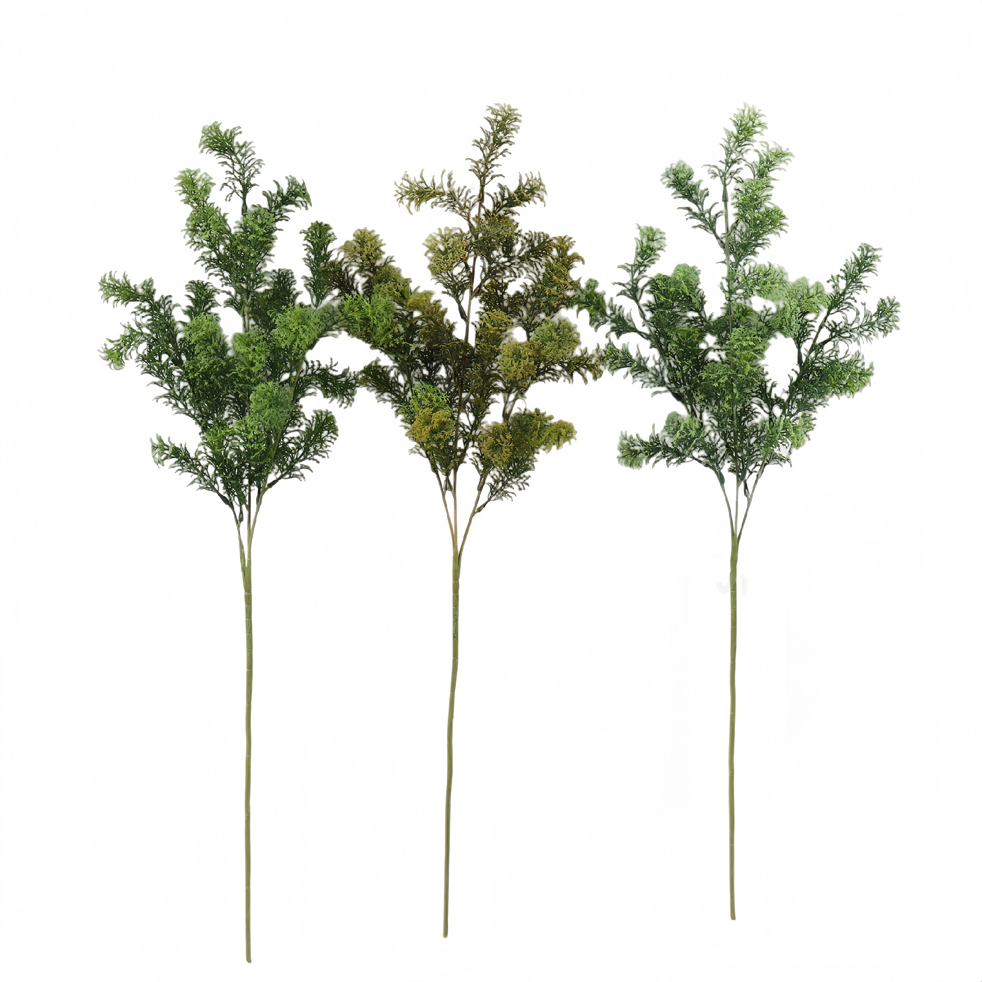 B250297XQF-67 (1).JPG