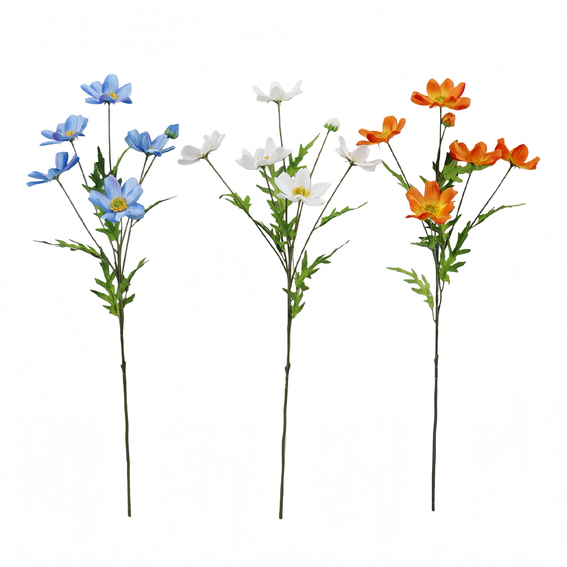 B250320YH-66 (1).JPG