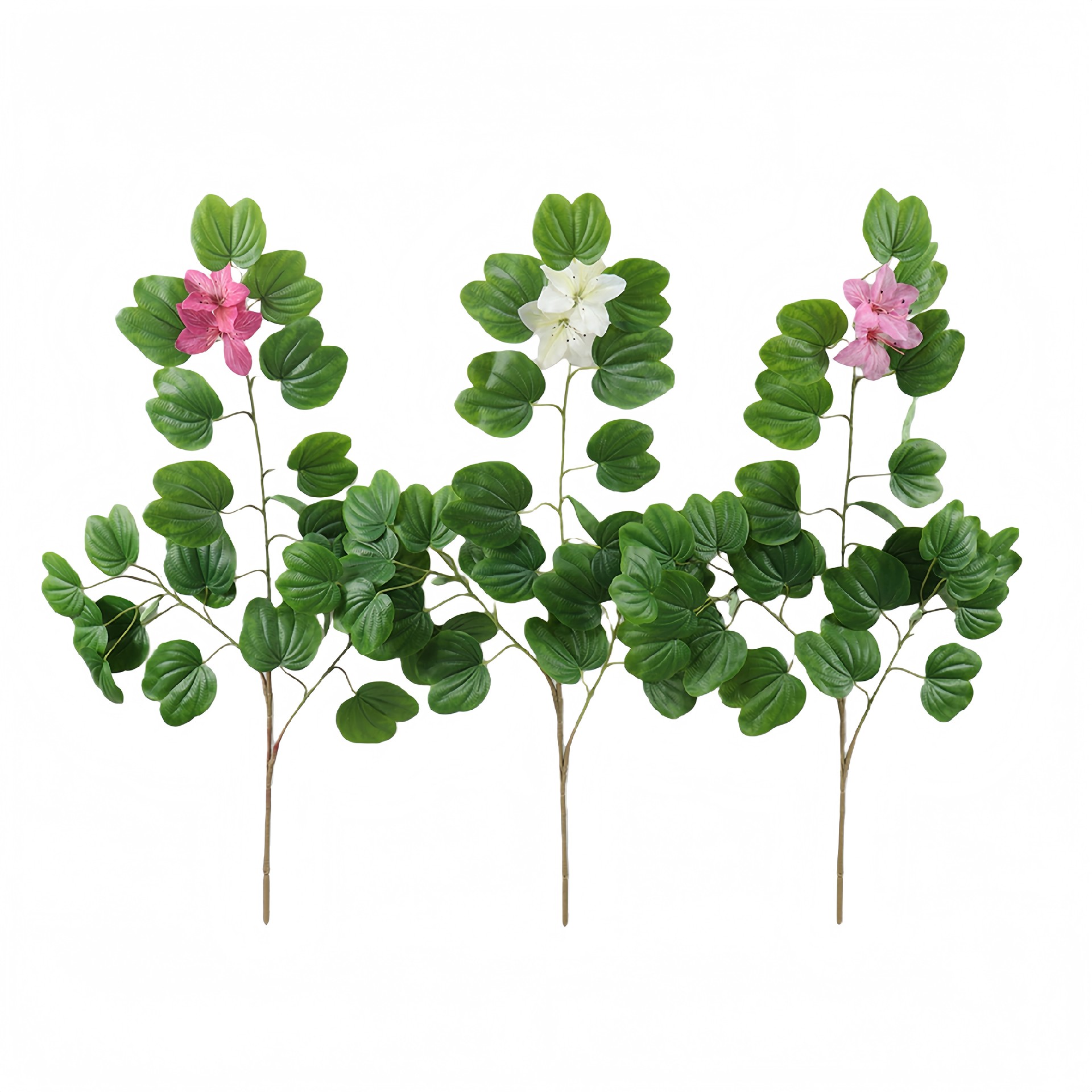 B250349KL-83 (1).JPG