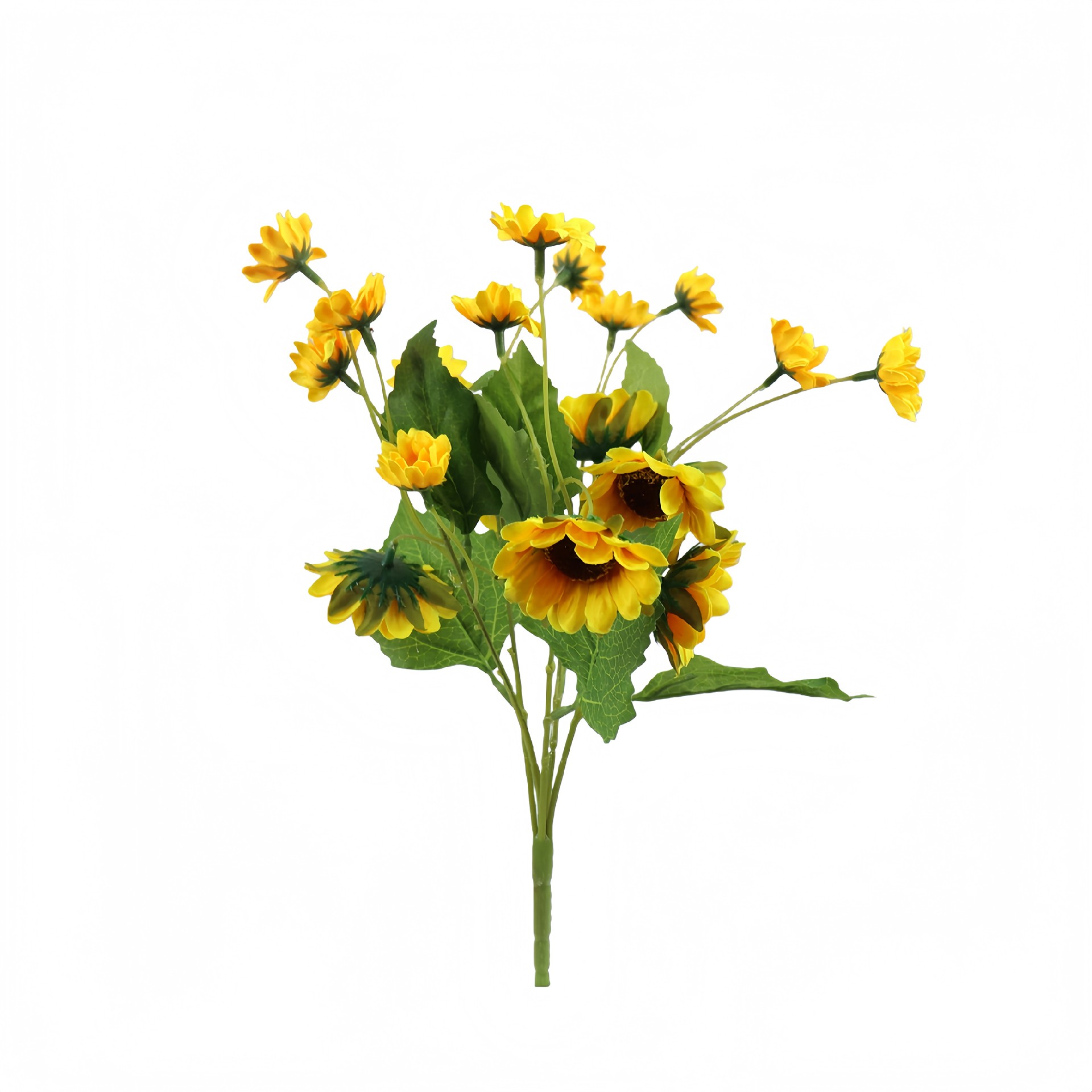 B250353CS-42 (1).JPG