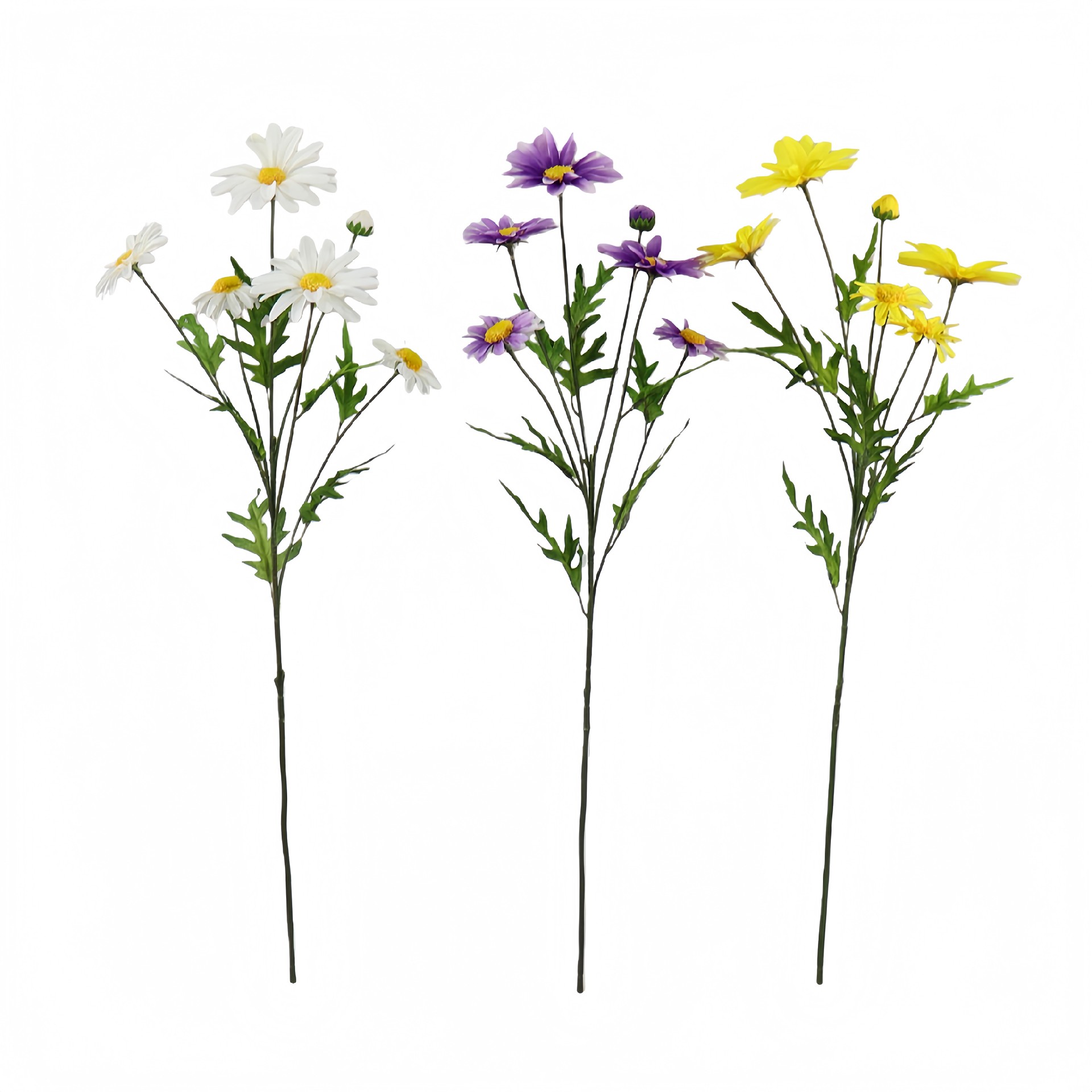 B250466YH-64 (1).JPG