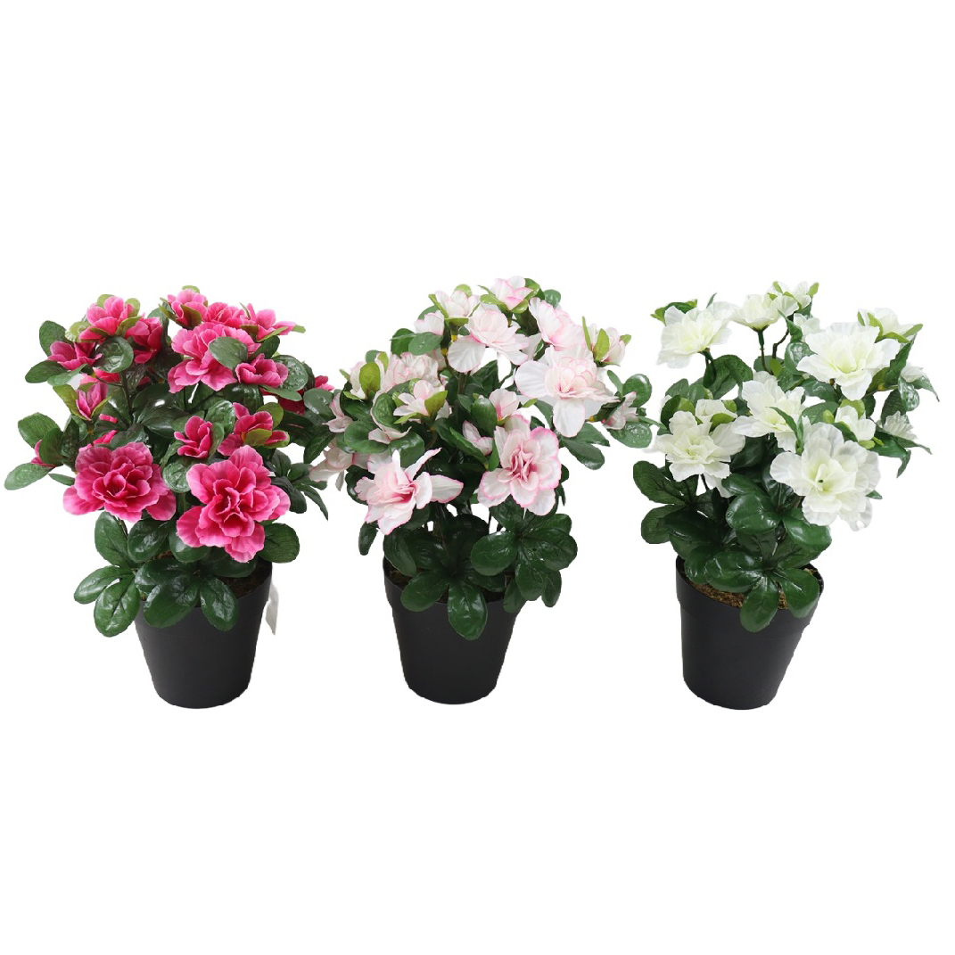 P250676GR-27 (1).jpg