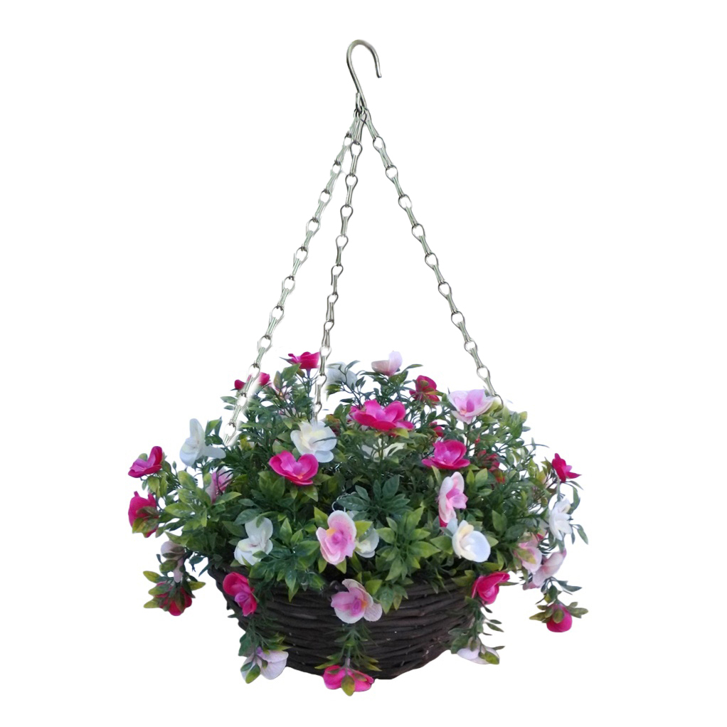 HB16149 黑藤蓝蝴蝶兰豆叶.jpg