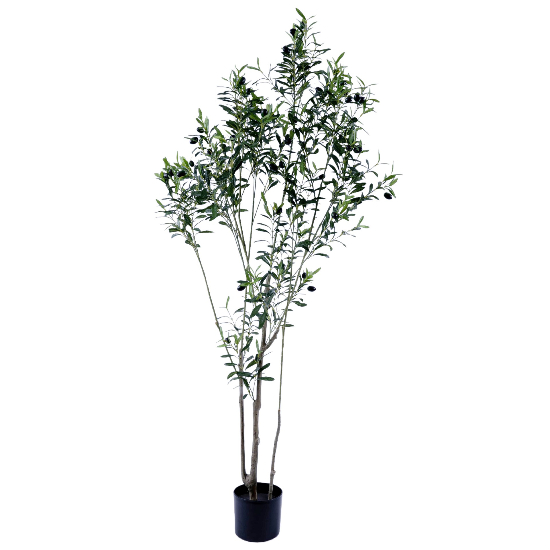 P250161QS-180.jpg