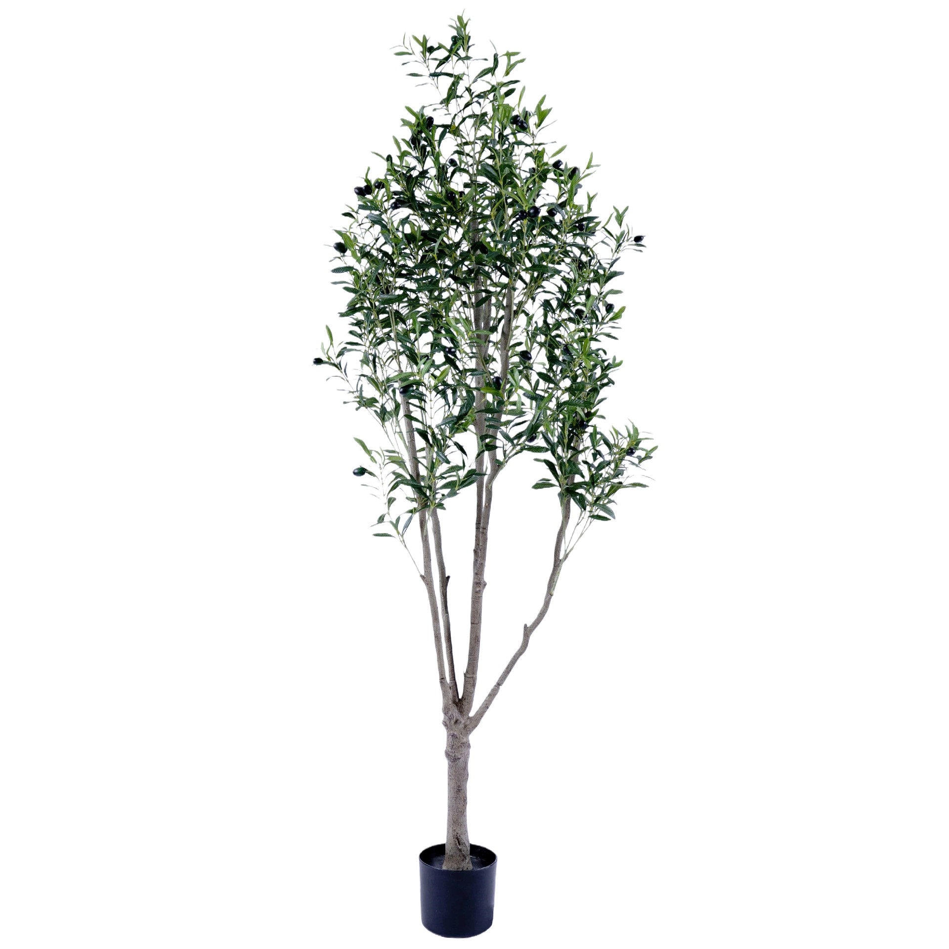 P250162QS-190.jpg