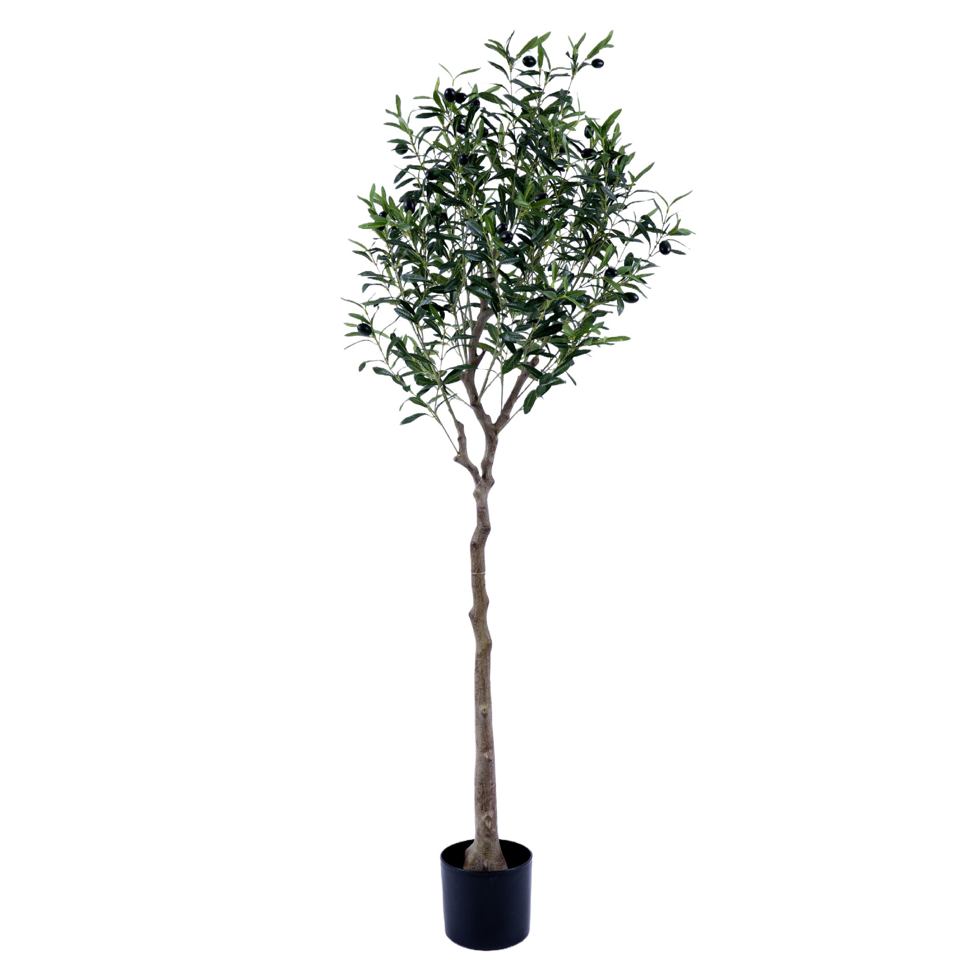 P250163QS-160.jpg