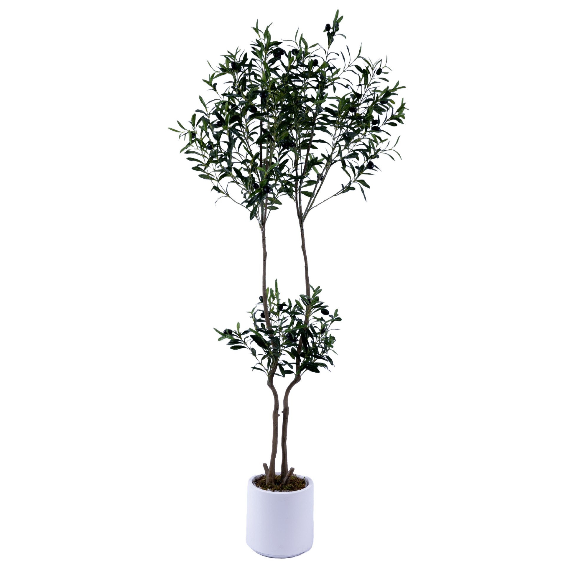 P250164QS-150.jpg