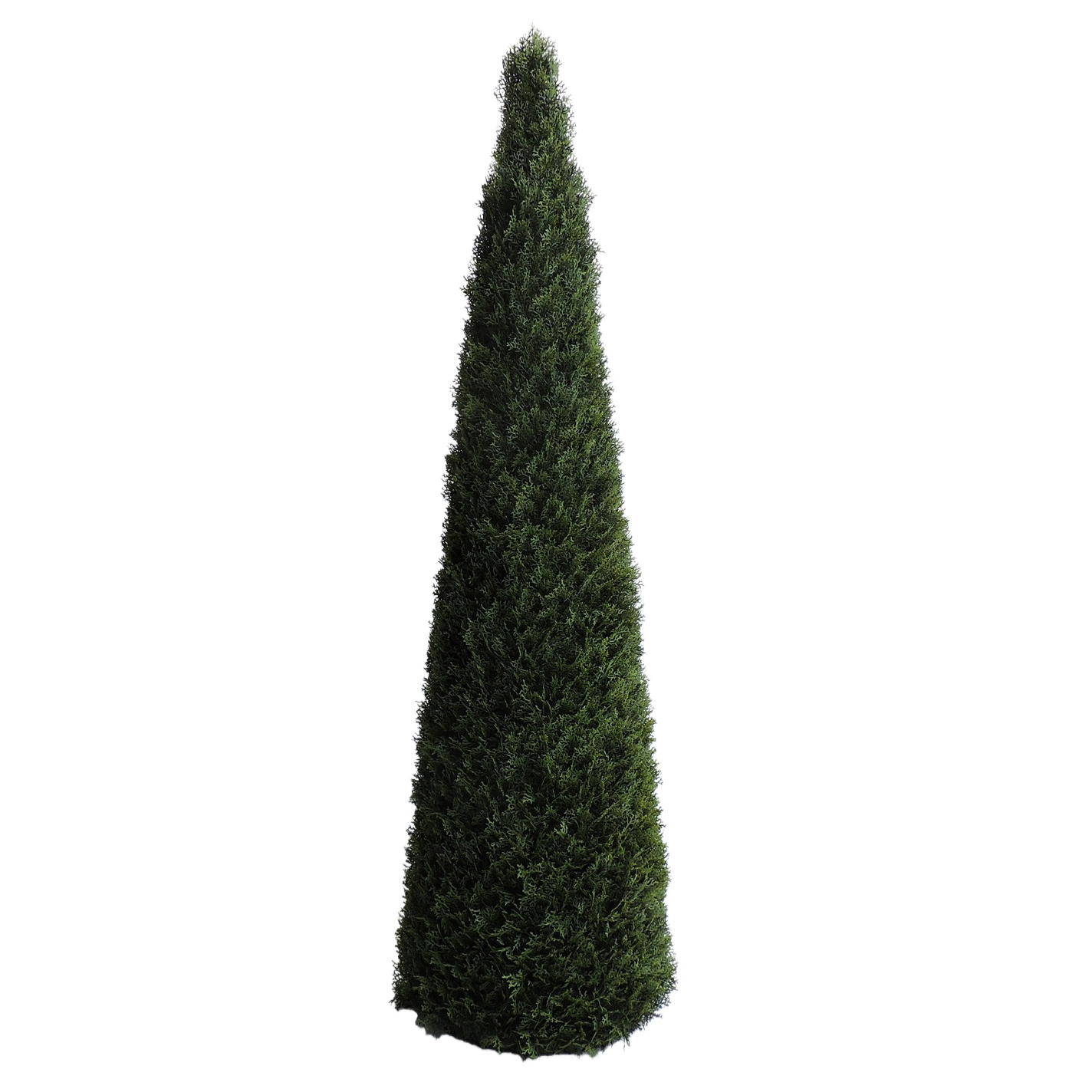 PG8068-150.JPG